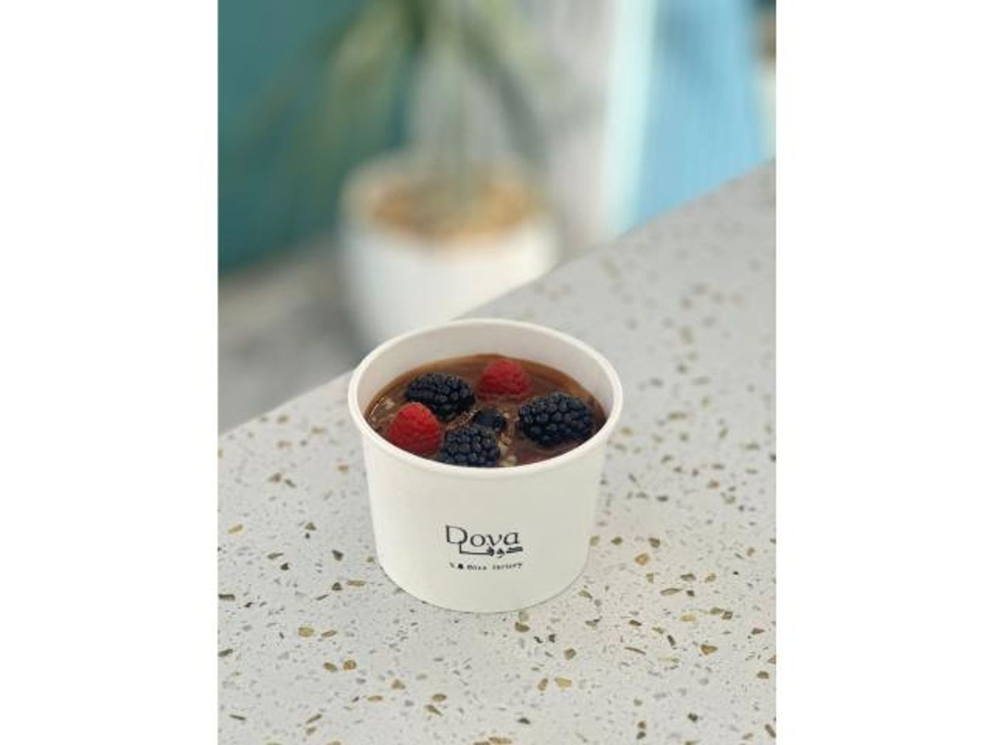 Fruit Pudding