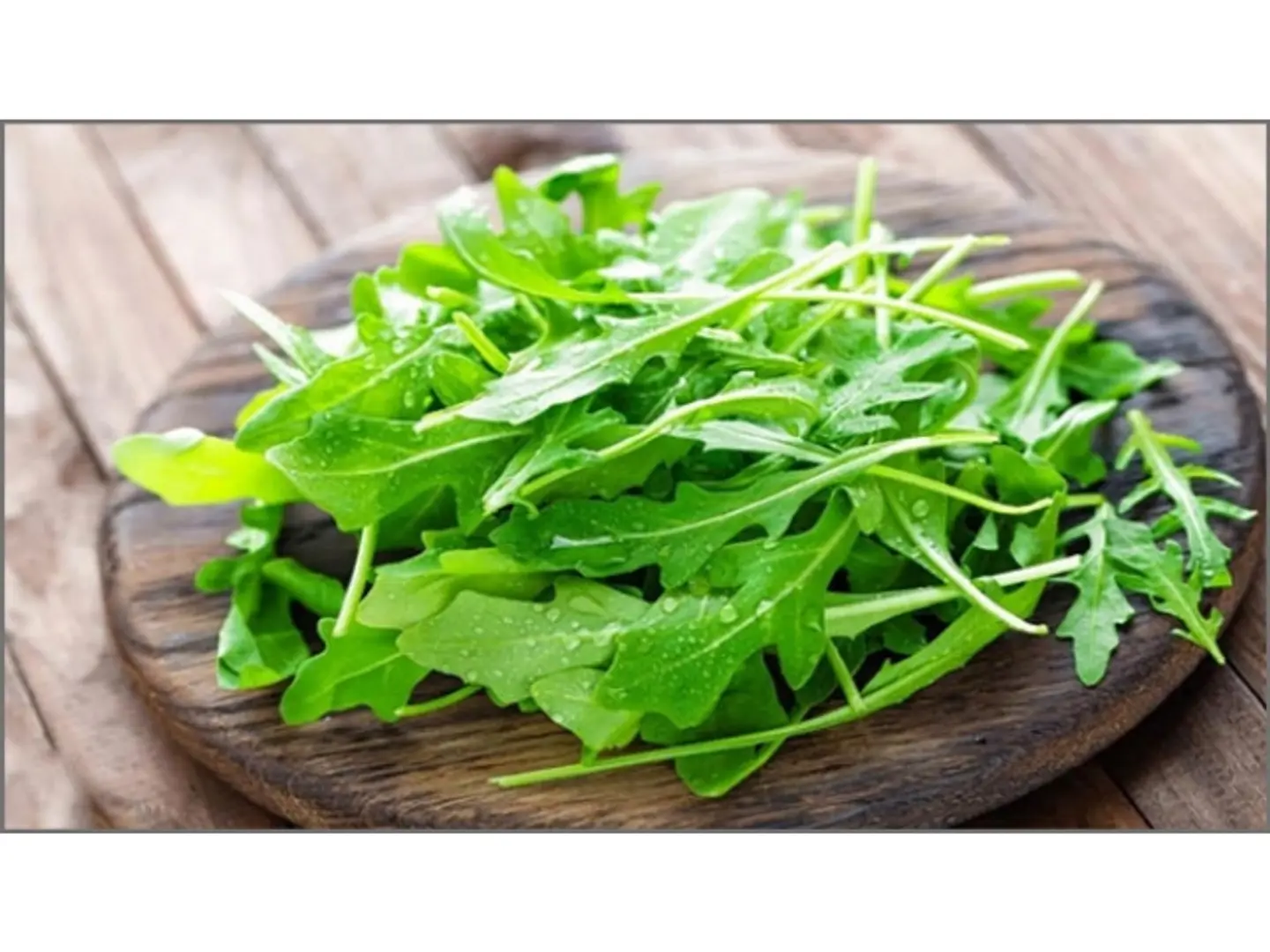 جرجير مستورد