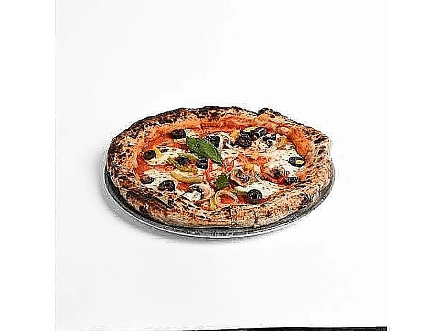 Vegetable Pizza