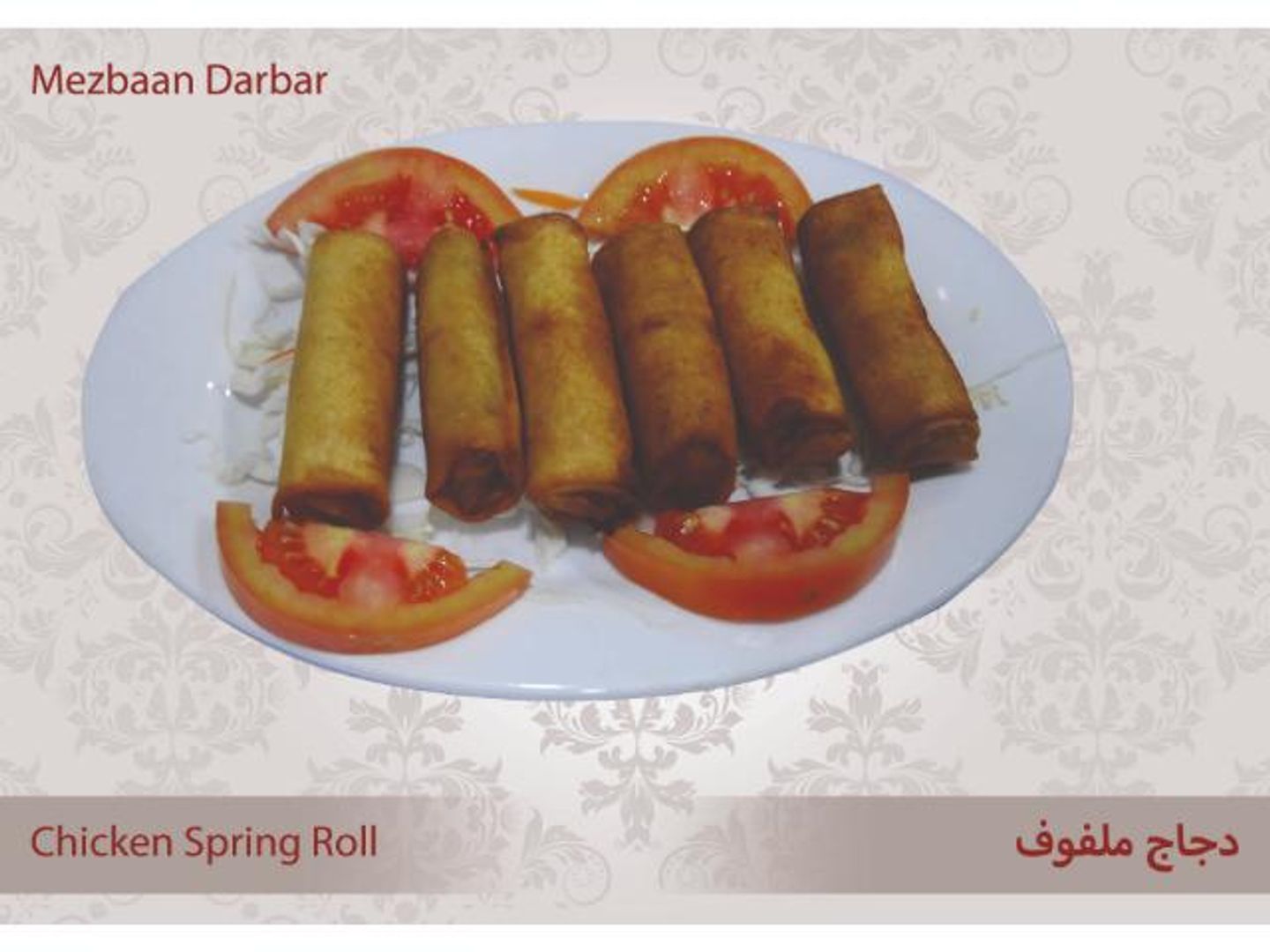 Chicken Spring Roll