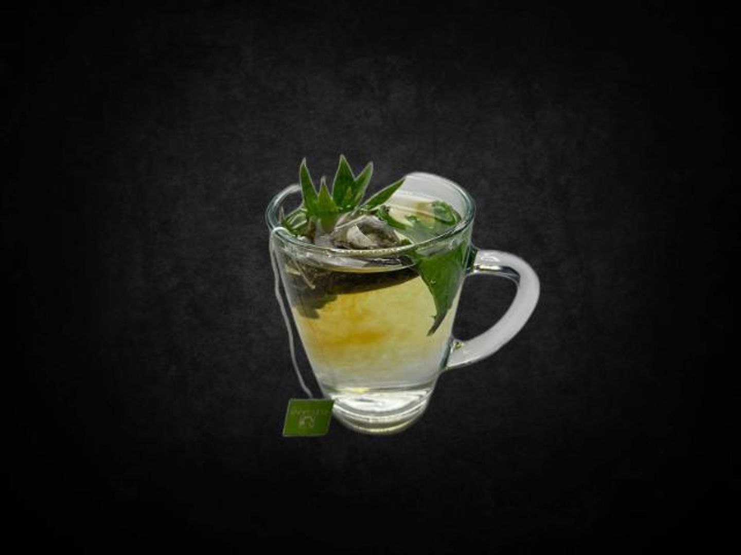Moroccan Tea