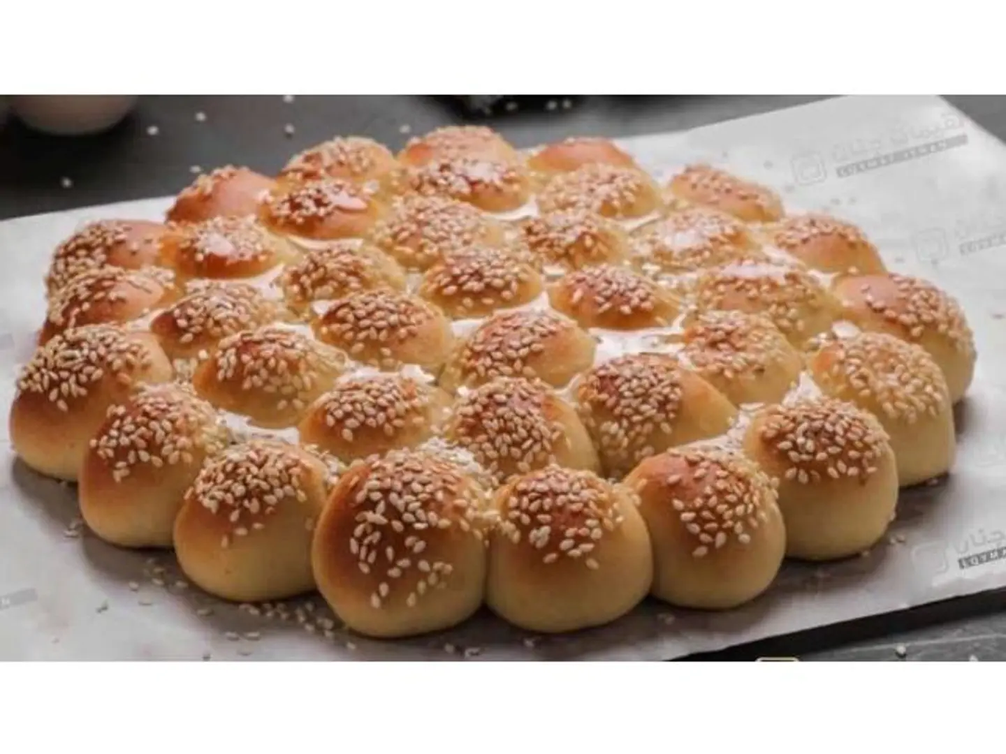 خليه جنان شيرة كبير