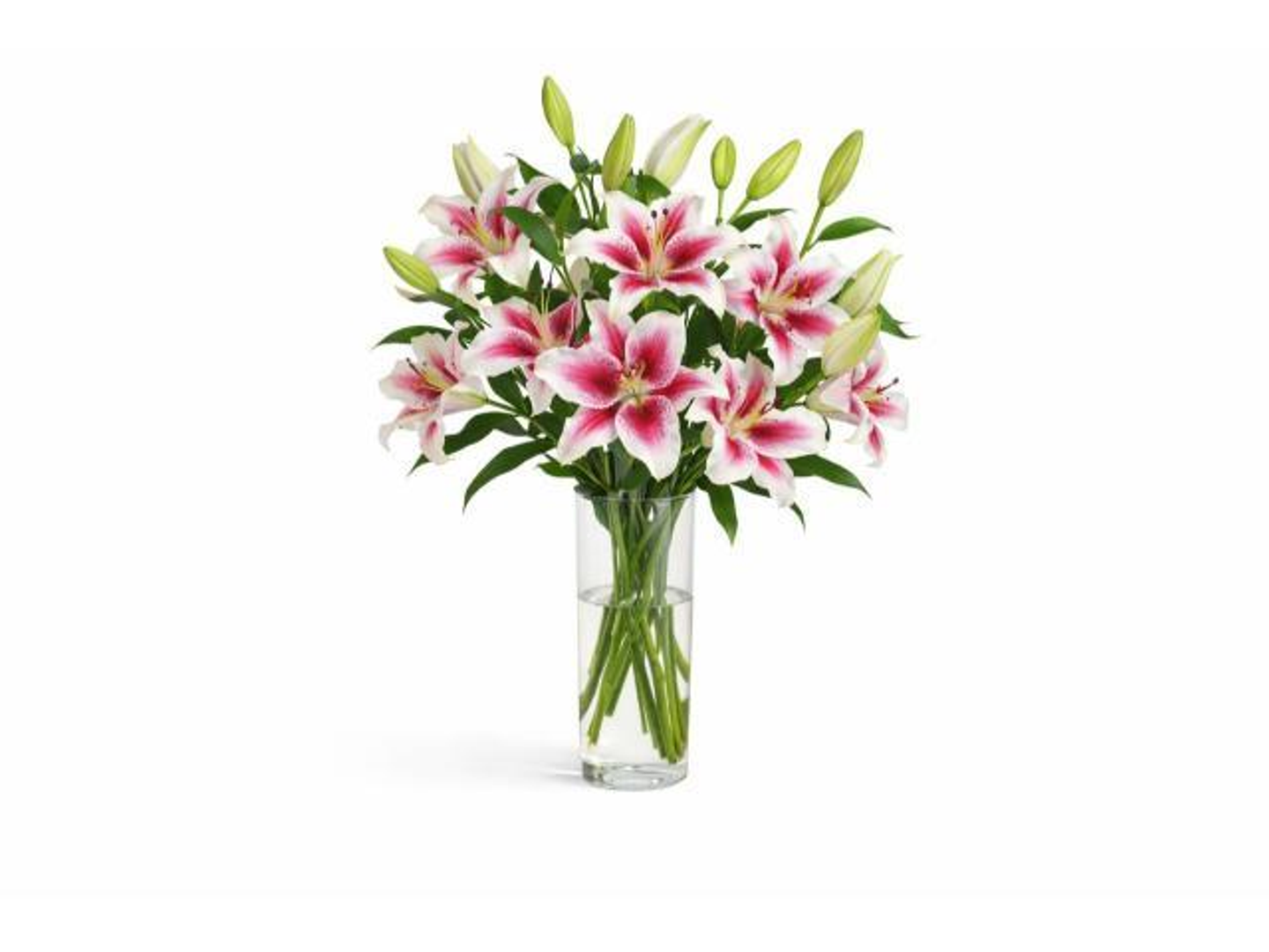 A Casablanca Vase