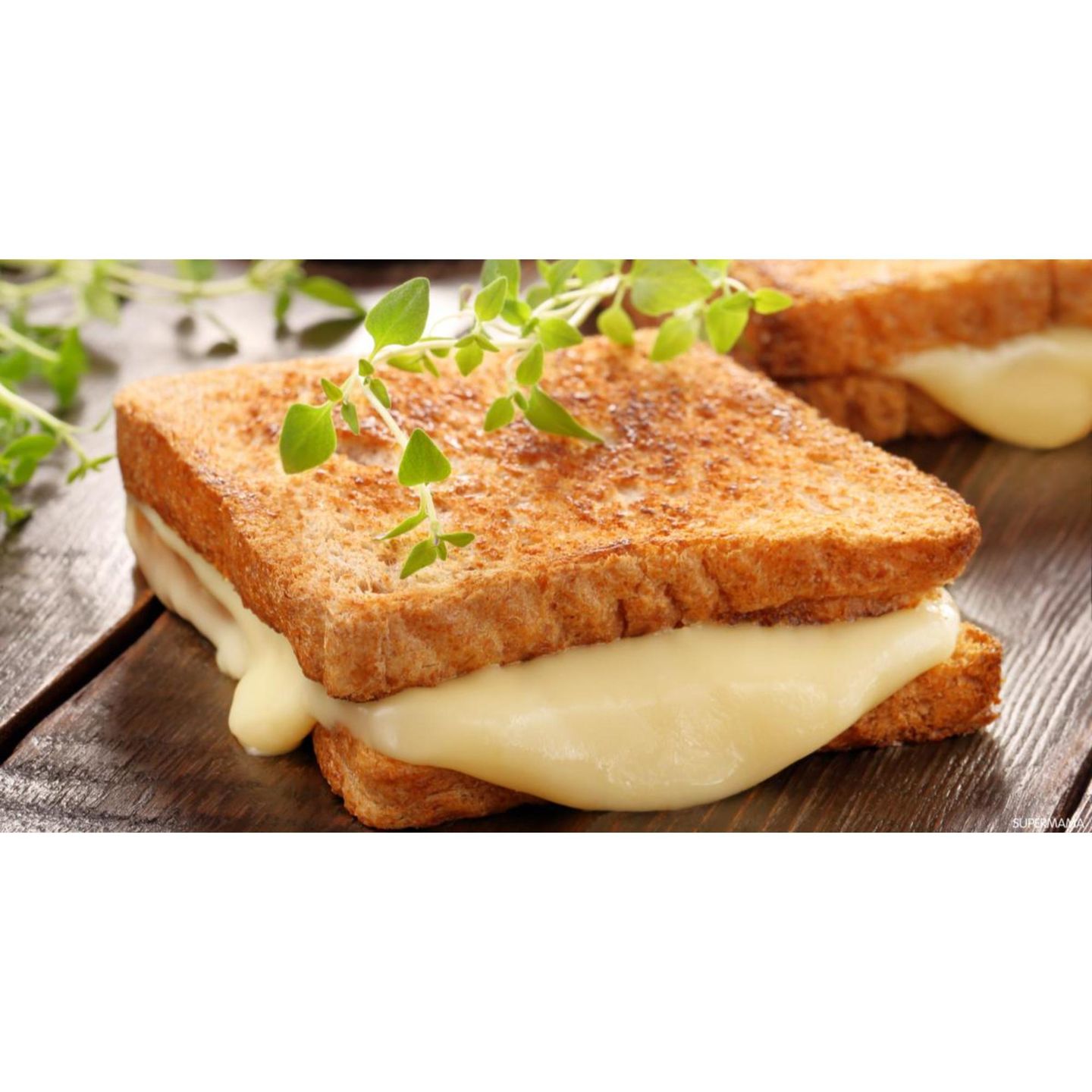 Crusted Cheese Sandwich