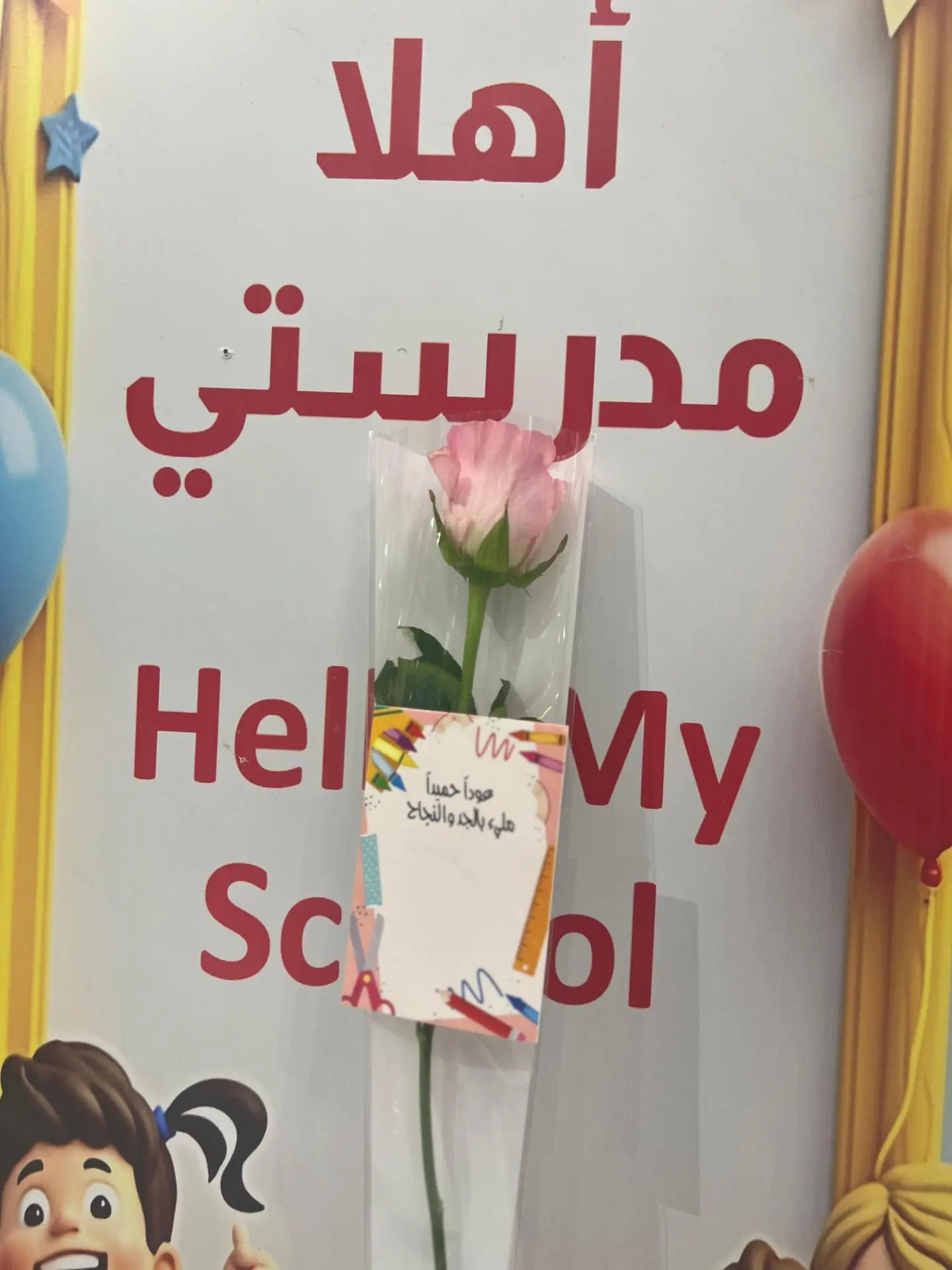 توزيعات ورد مغلف 2