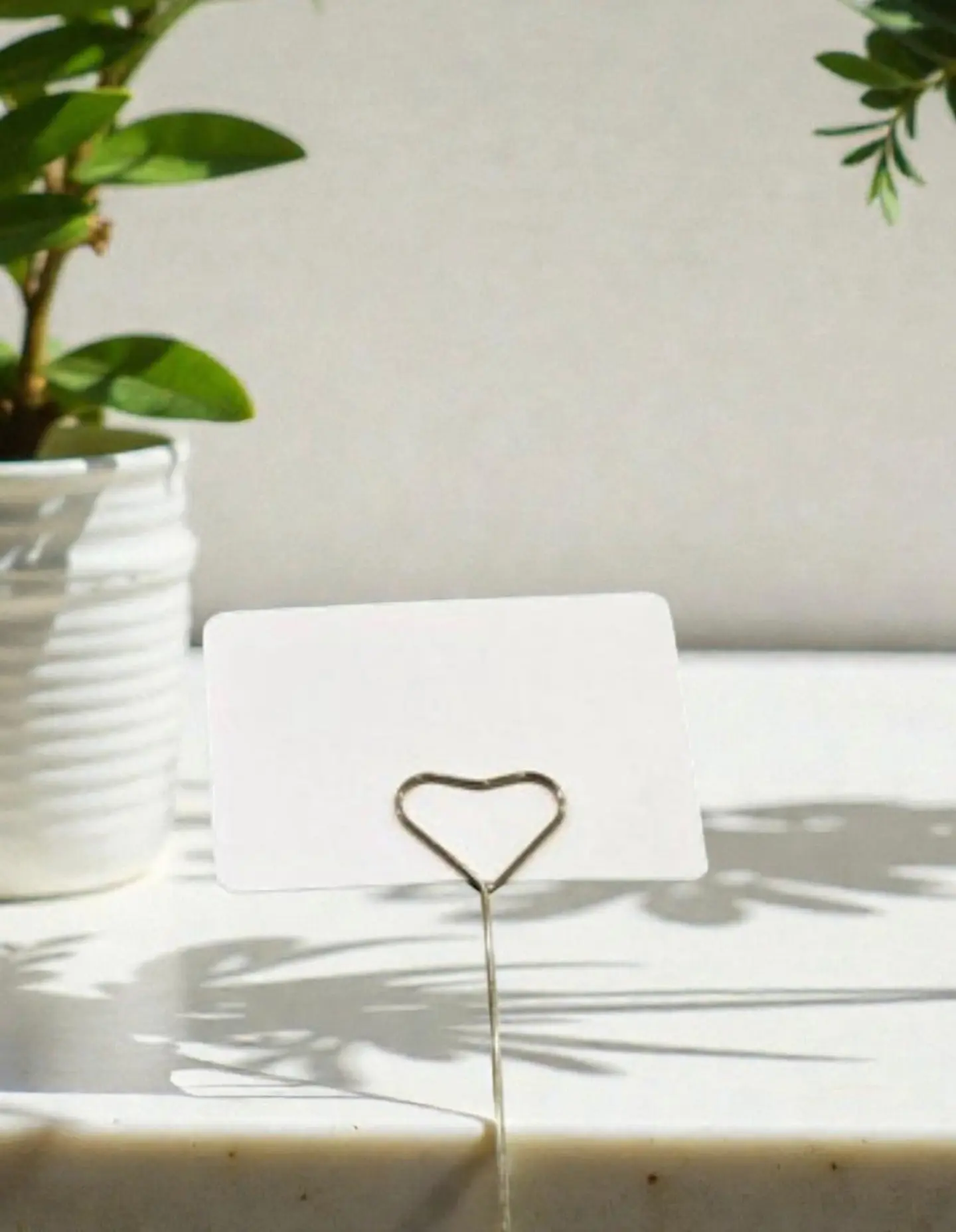 Plain Card With Gold Card Holder