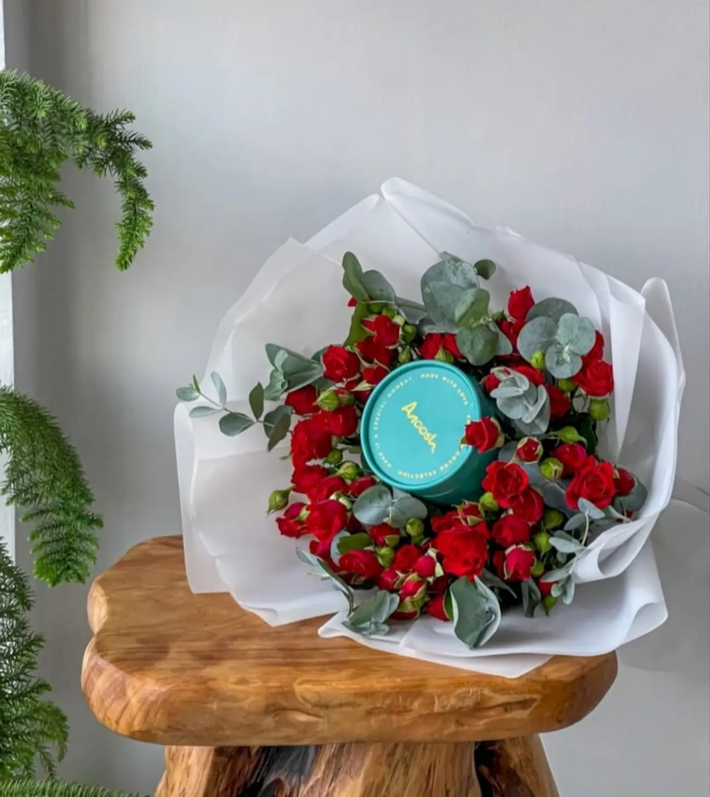 بوكية شكولاتة انوش