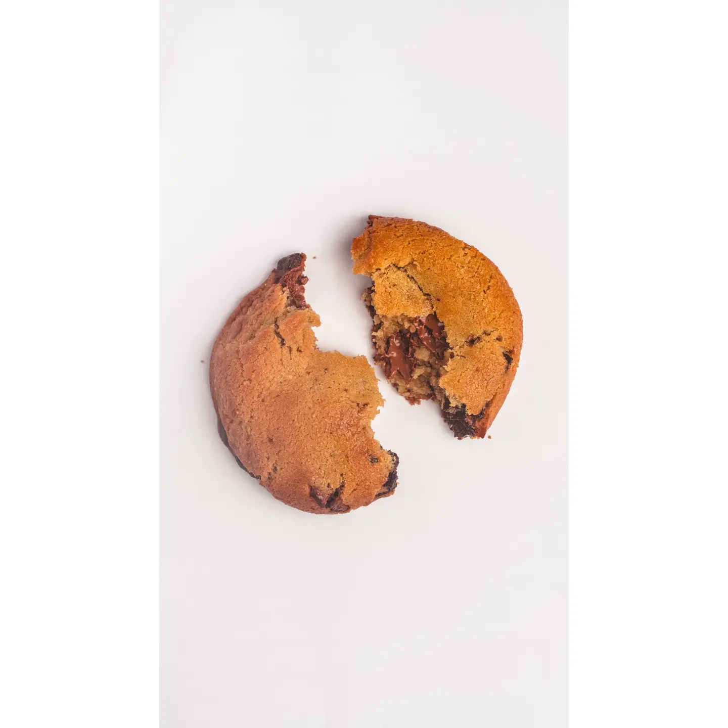 Chocolate Chip Cookie