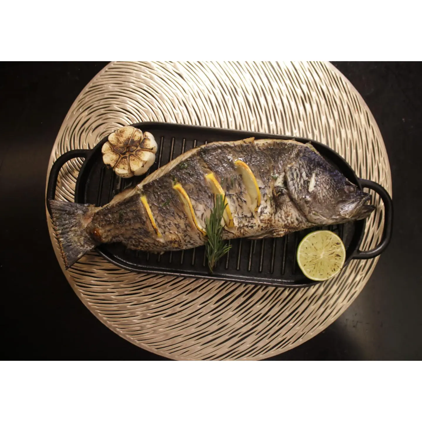 Mediterranean Sea Bass