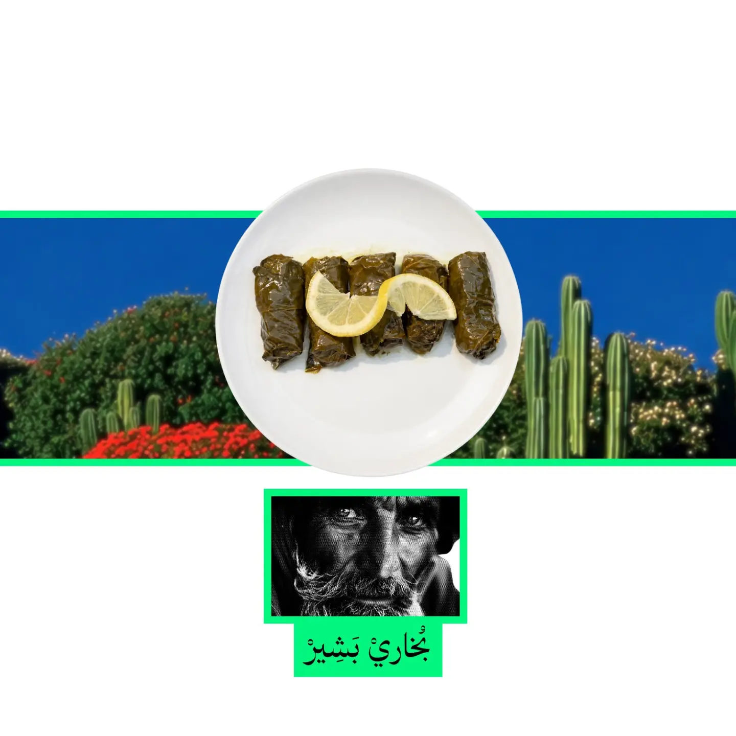 Grape Leaves