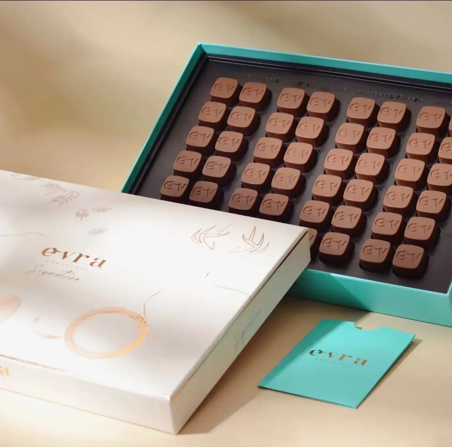 ايفرا سيجنتشير