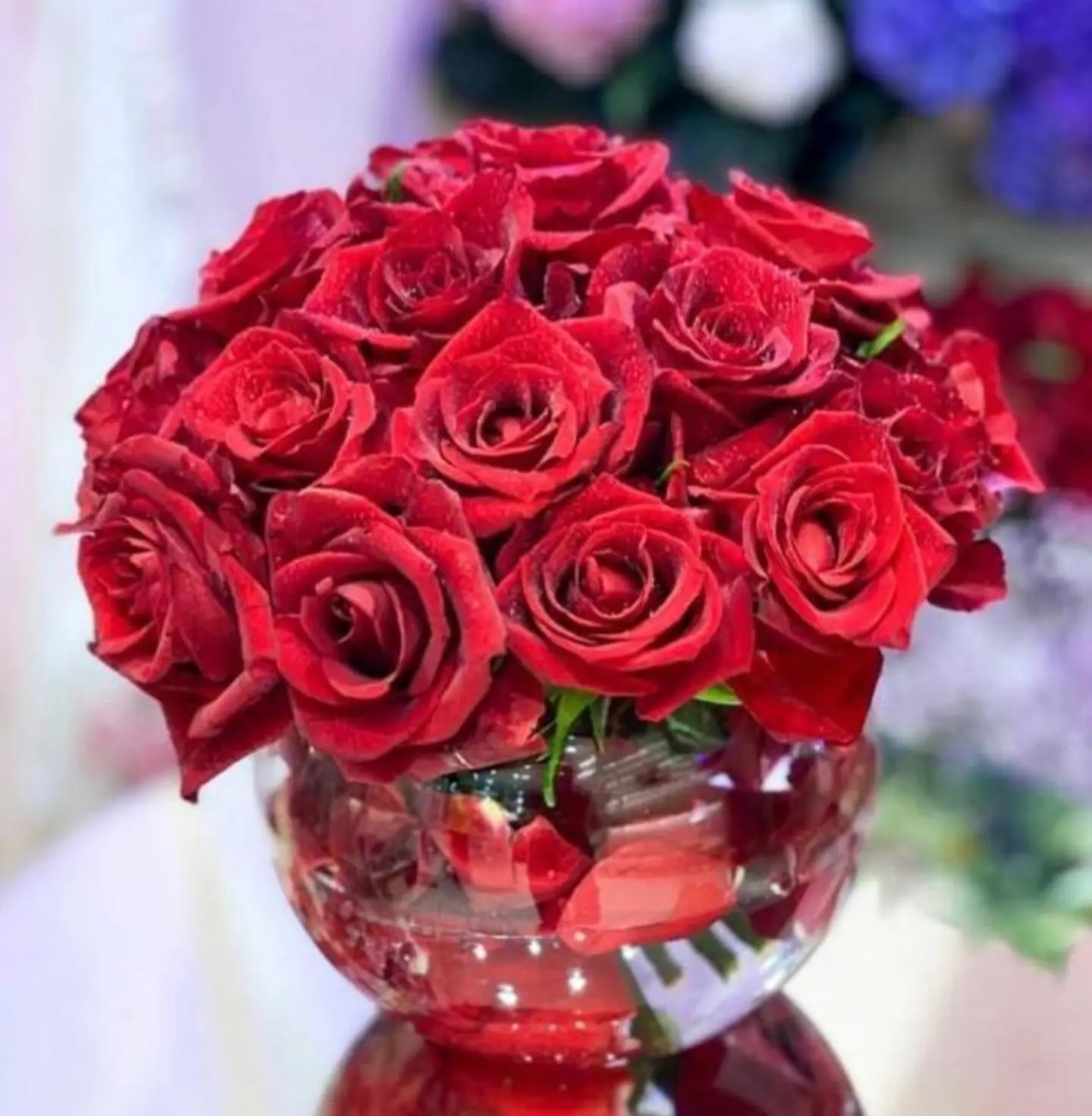 فازة عشق
