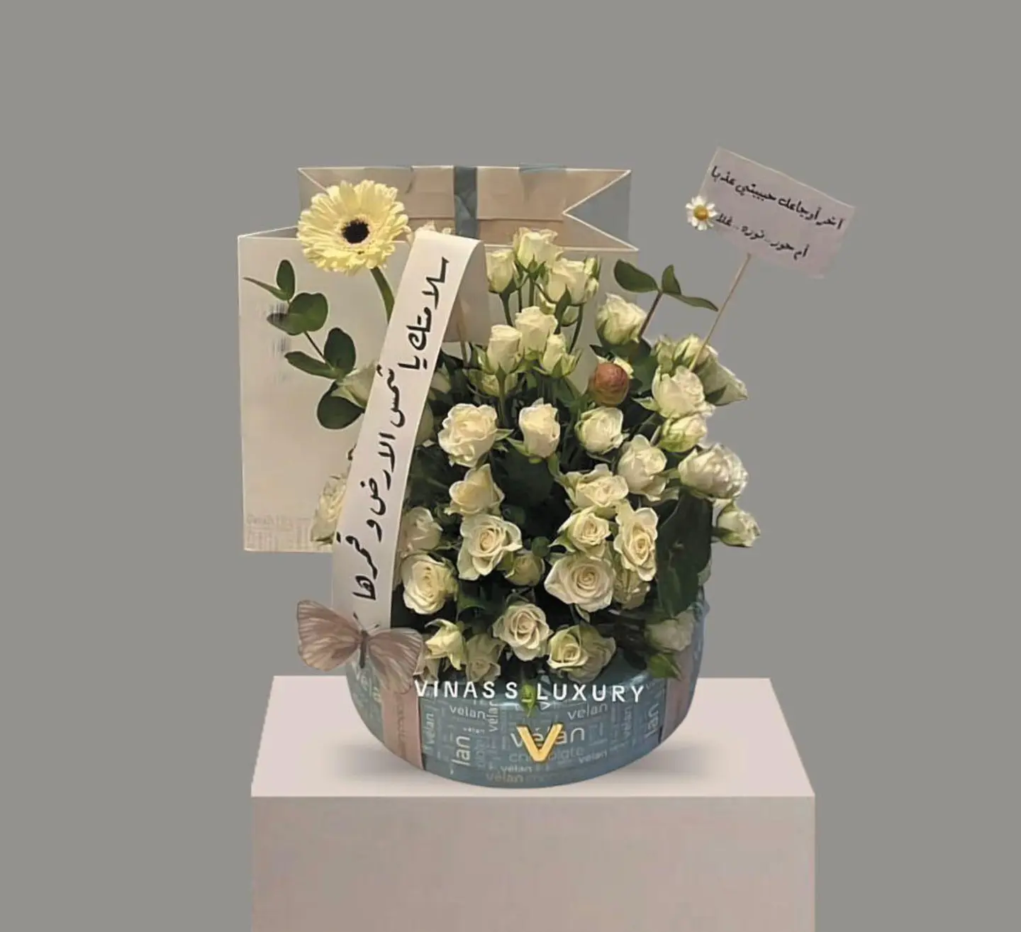 بكس حلا الحمدلله ع السلامه