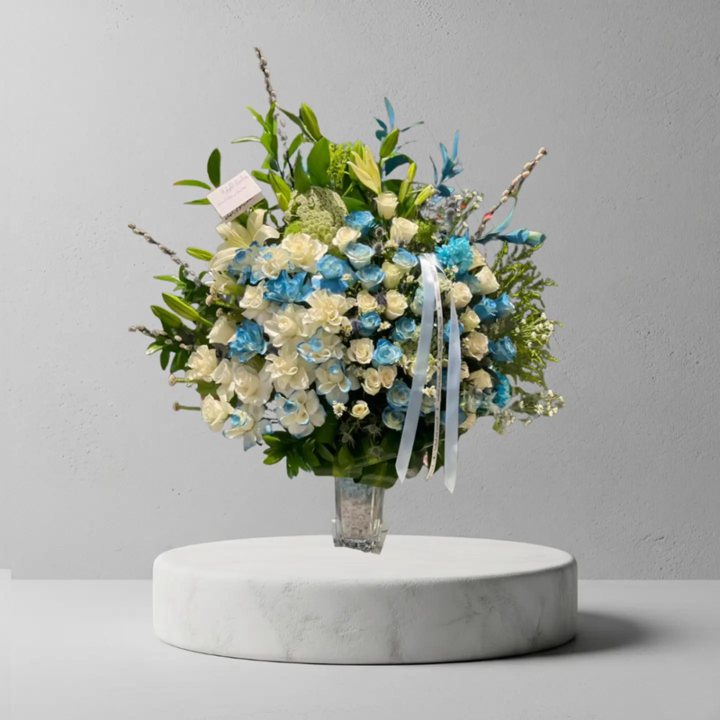 فازا مولود 5