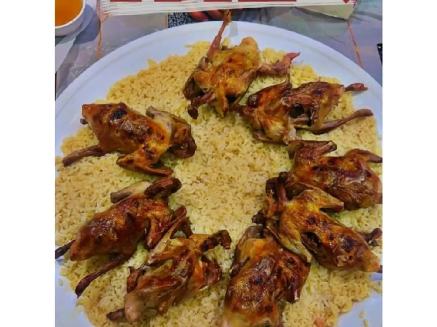 جوز زغاليل مضغوط مقمر