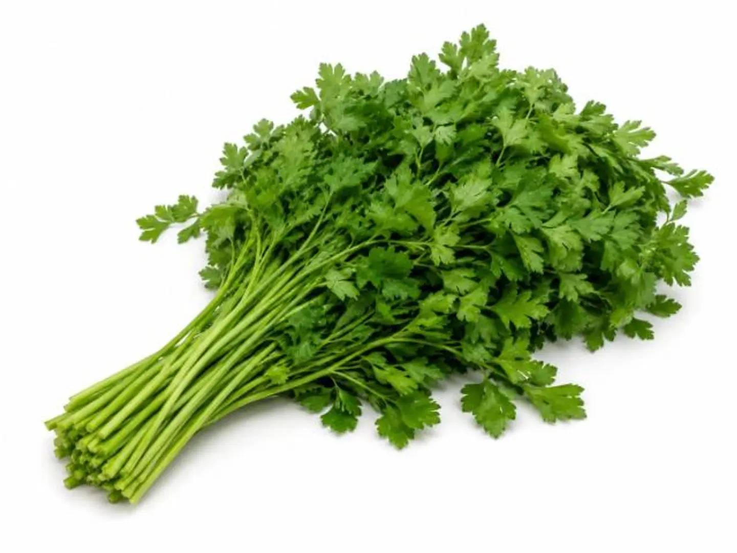 Bundle Of Parsley