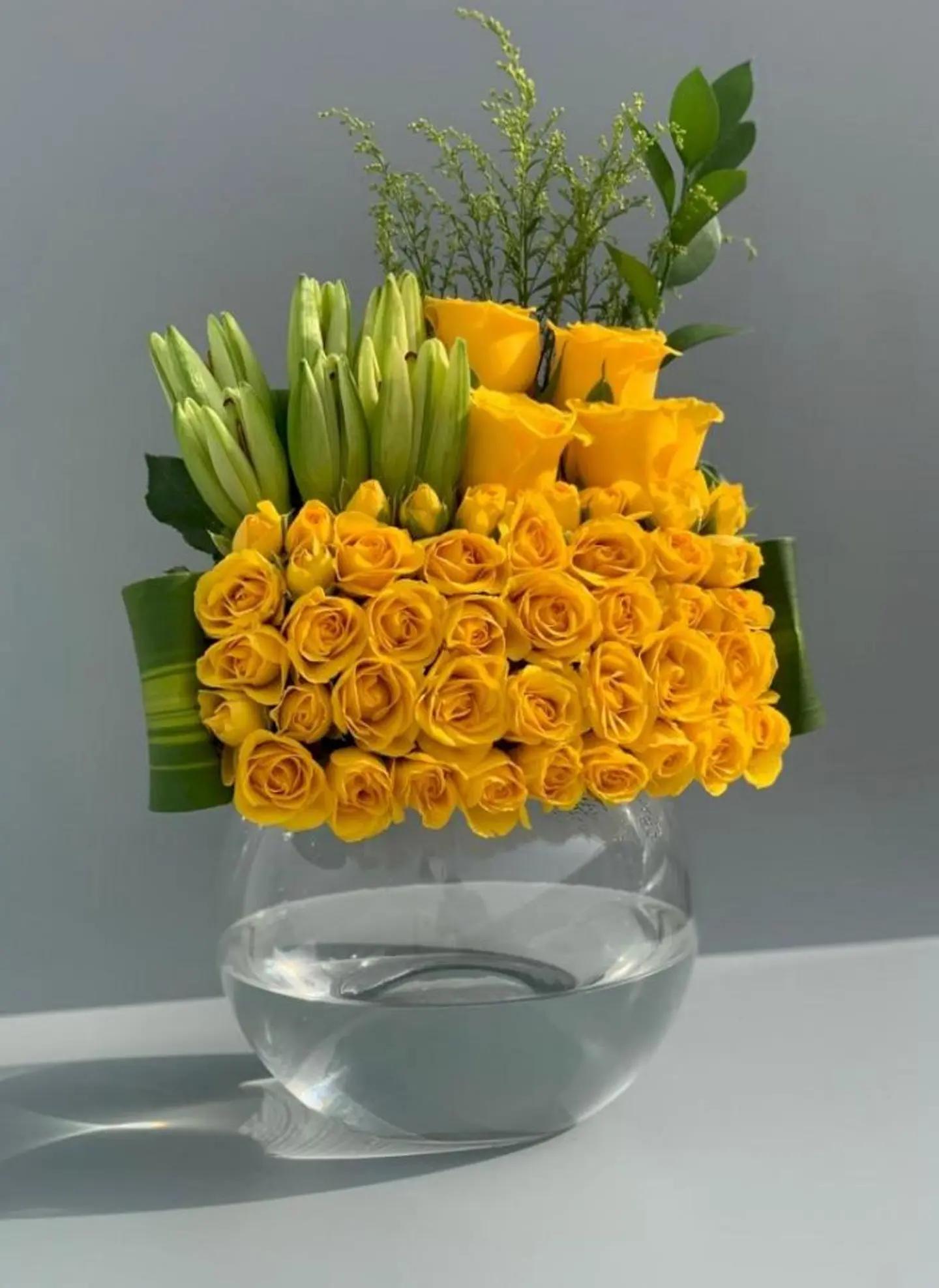 فازة شاين