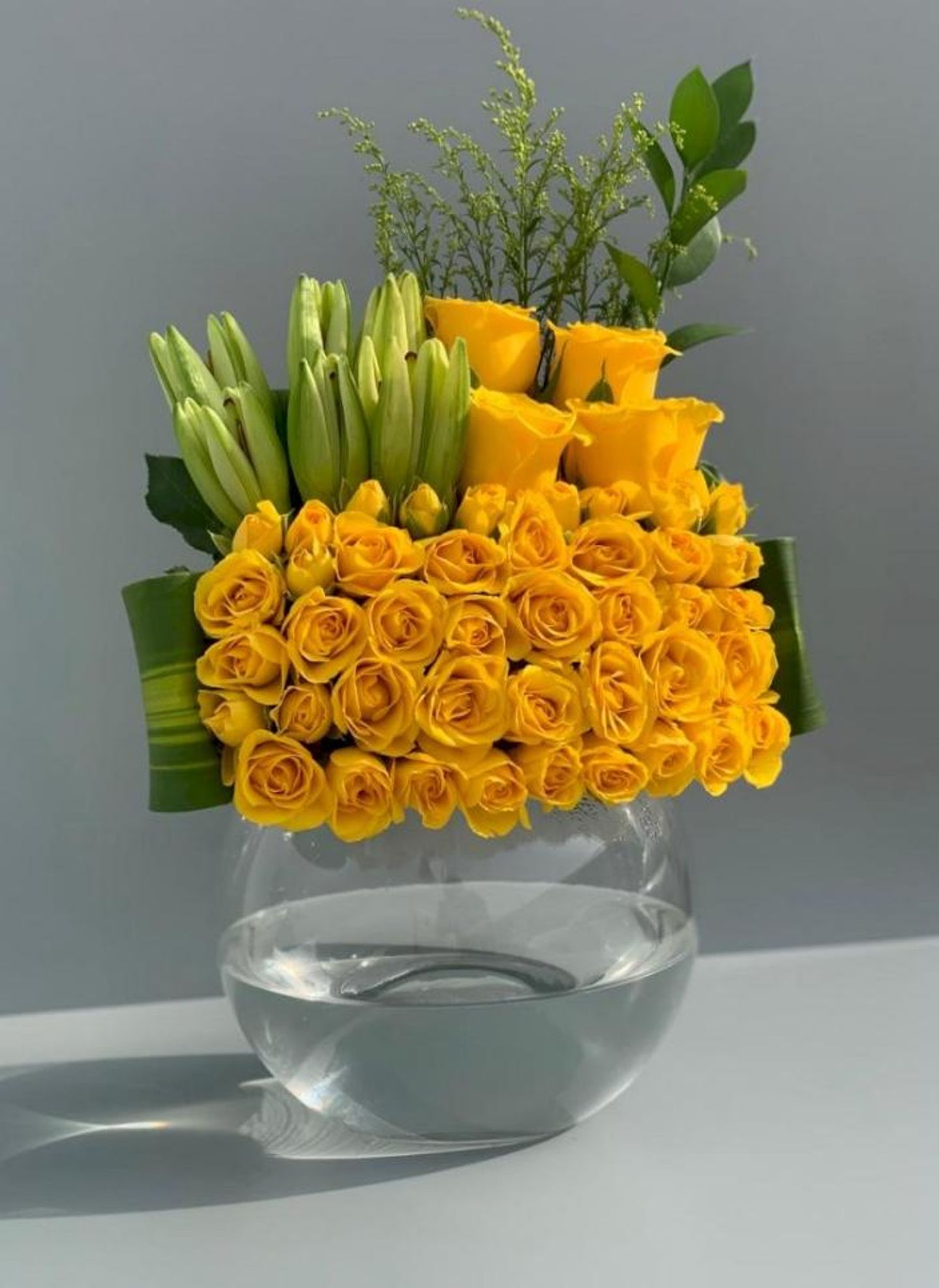 فازة شاين