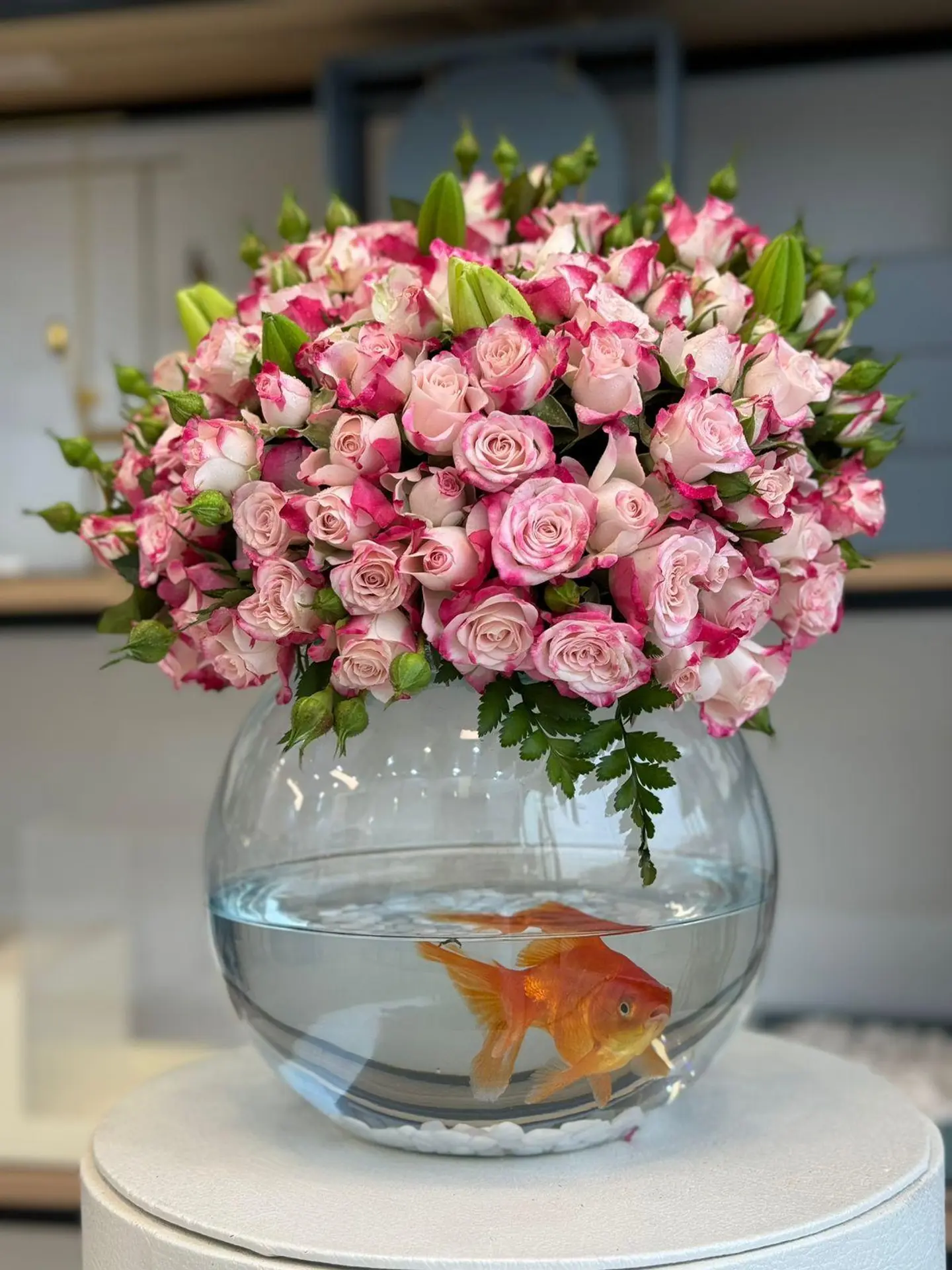 فازه ورد مع السمك ١٩-٦