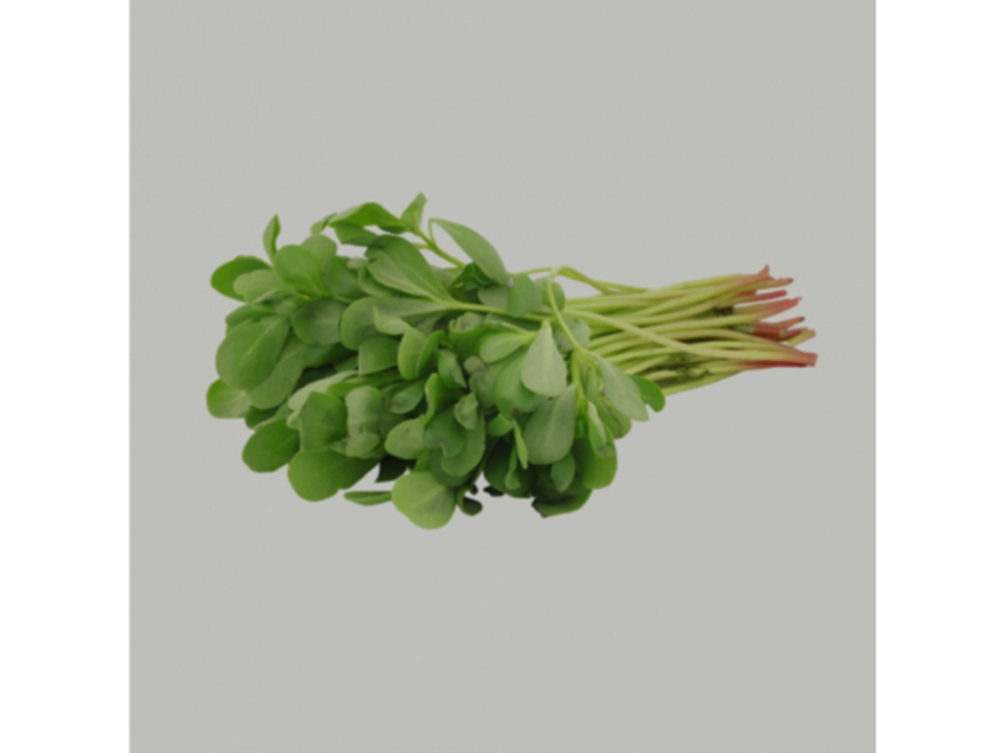 رجلة حزمة