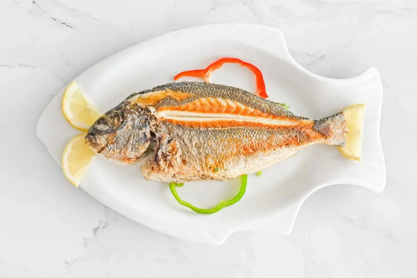Sea Bream Fish
