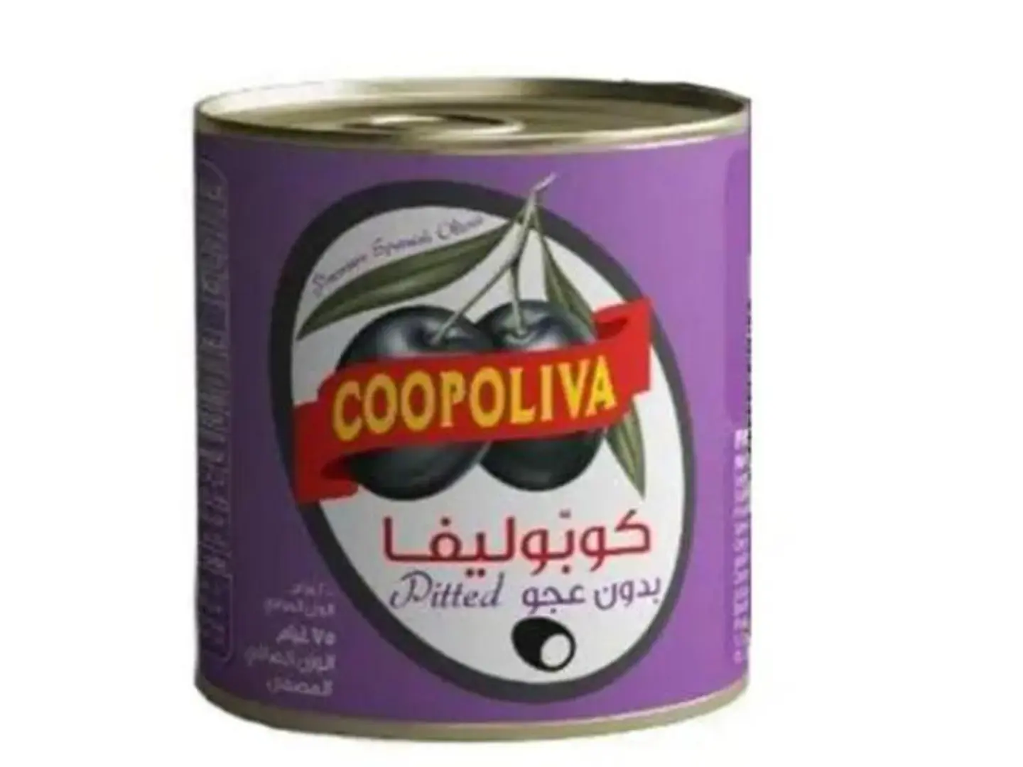 Copolivia Black Pitted Olives 75 Gm