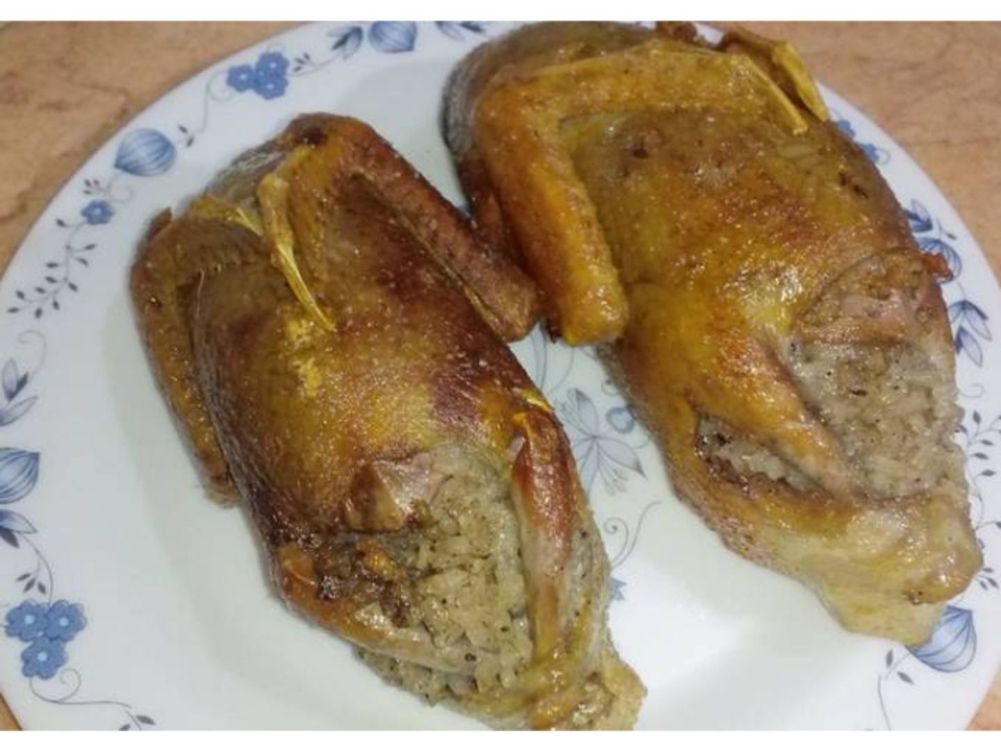 Tarab Pigeon