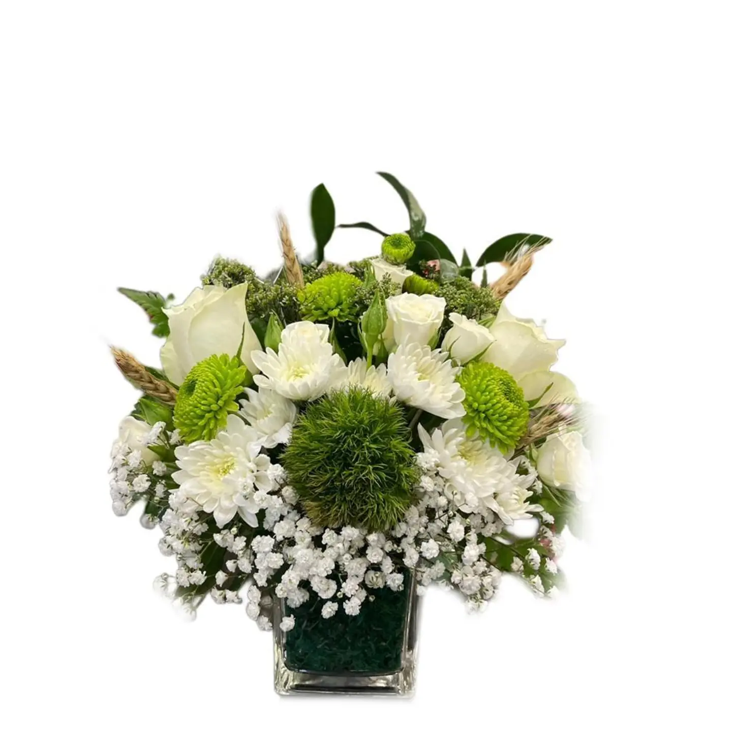 Purity Of White