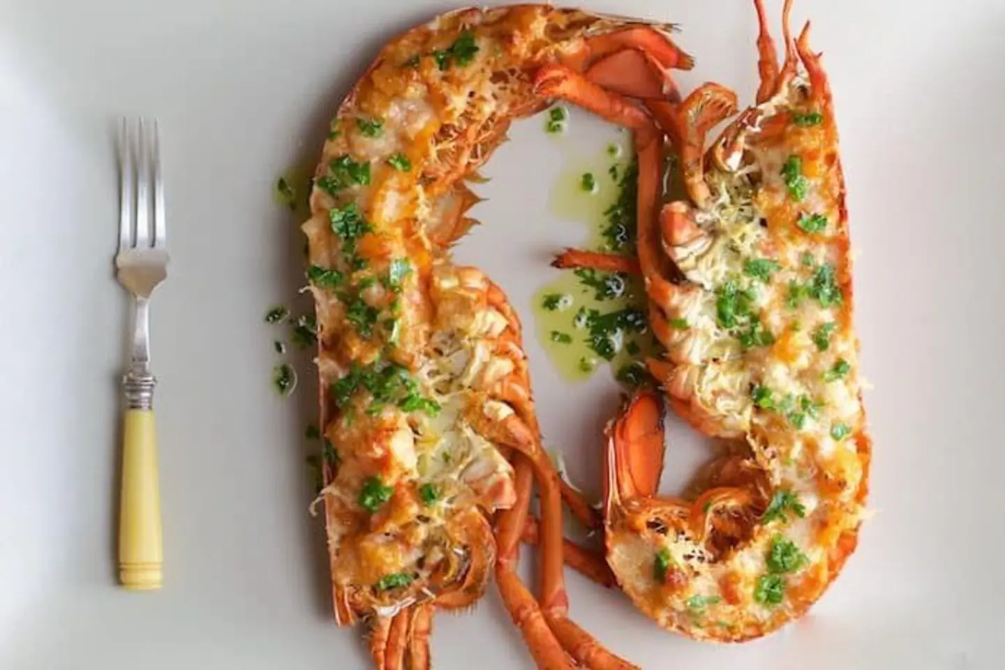 Lobster Tremador