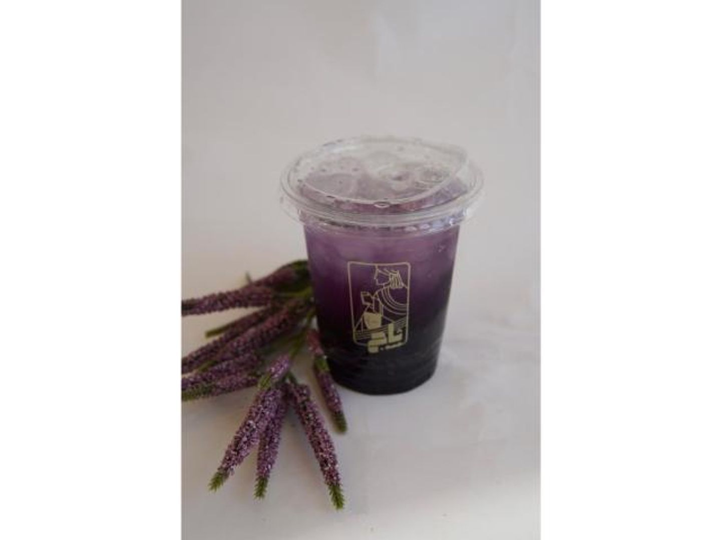 Thaj Mohito