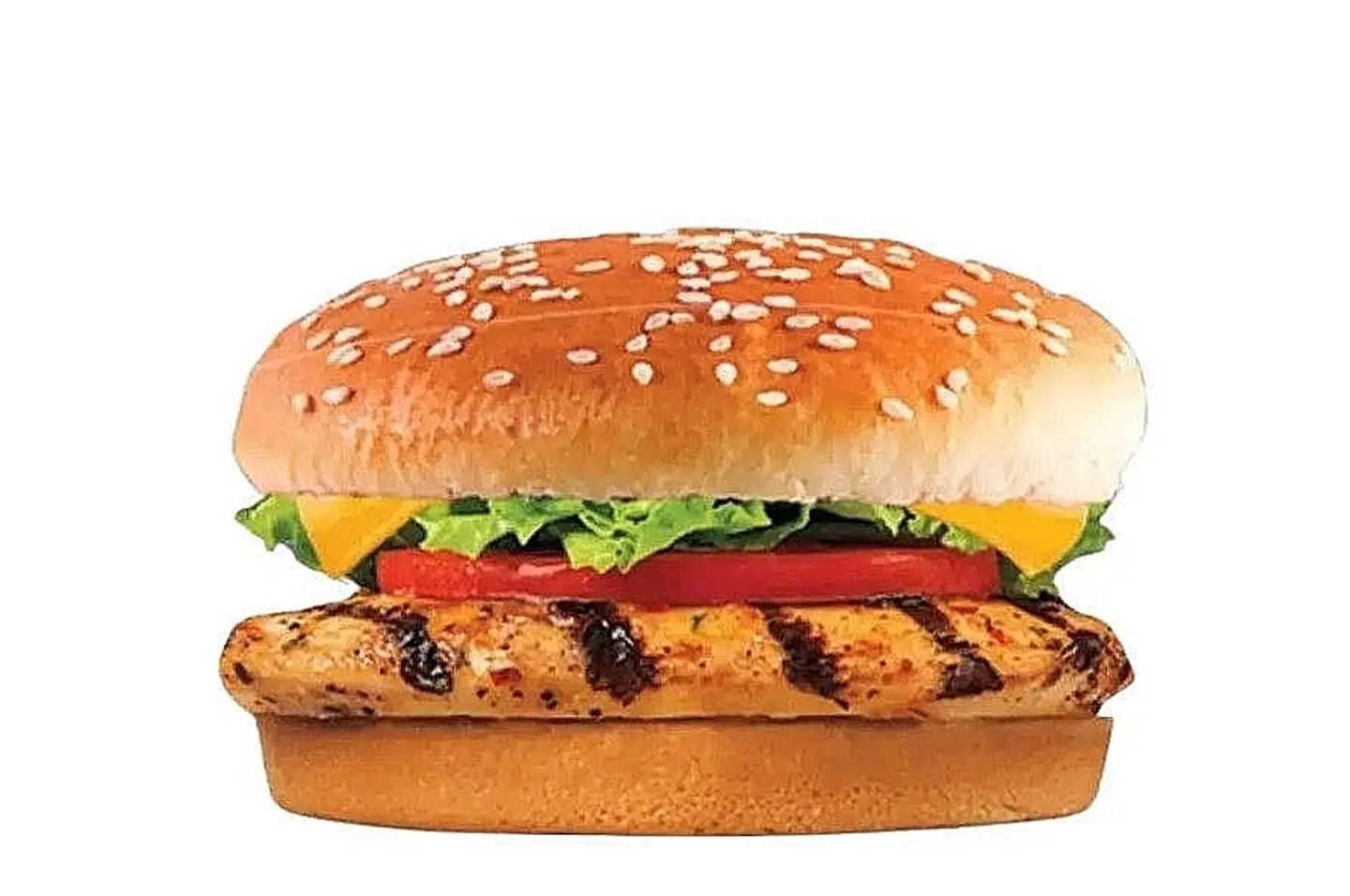Grilled Chicken Burger