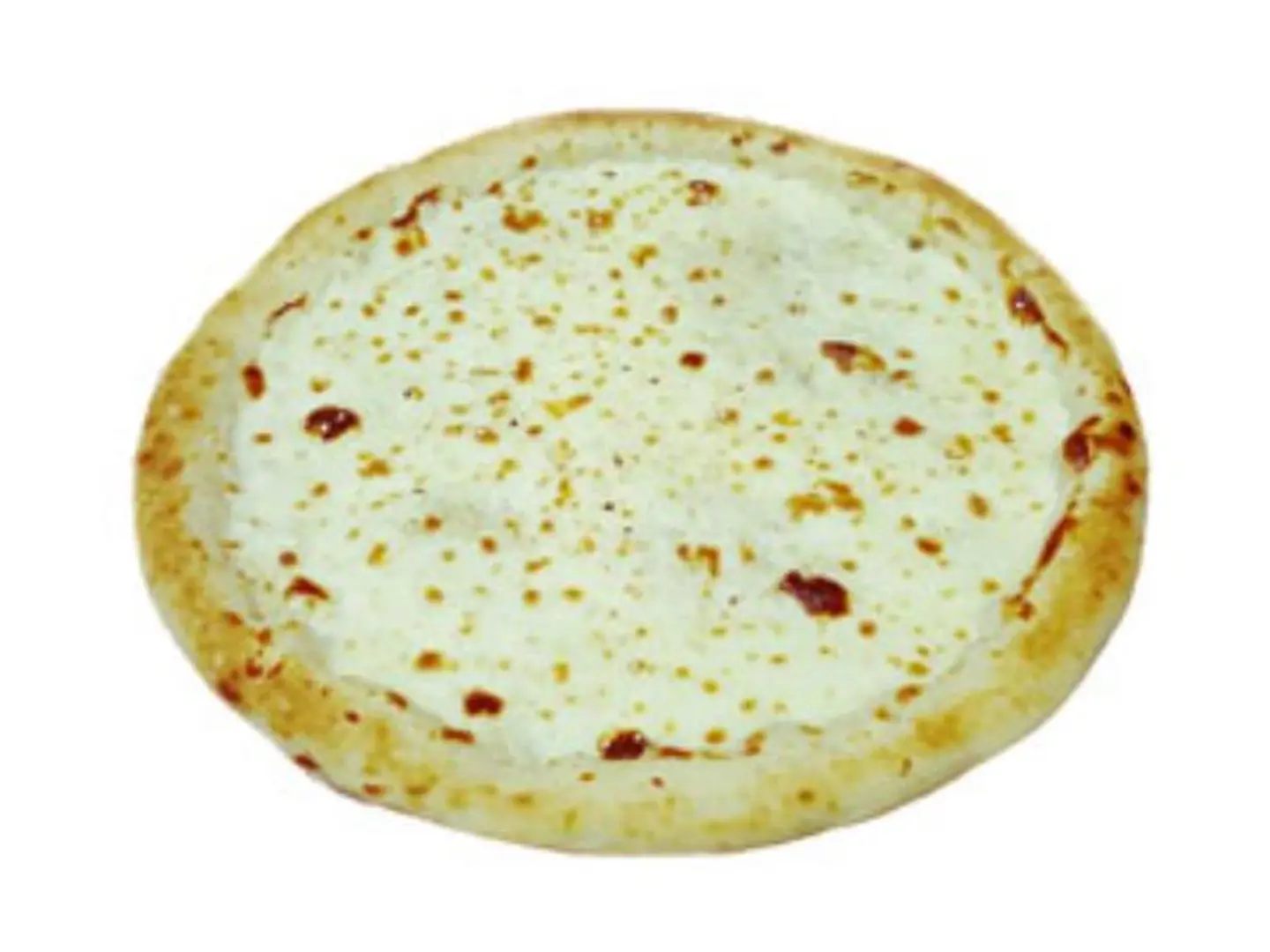 Melted Cheese Pizza
