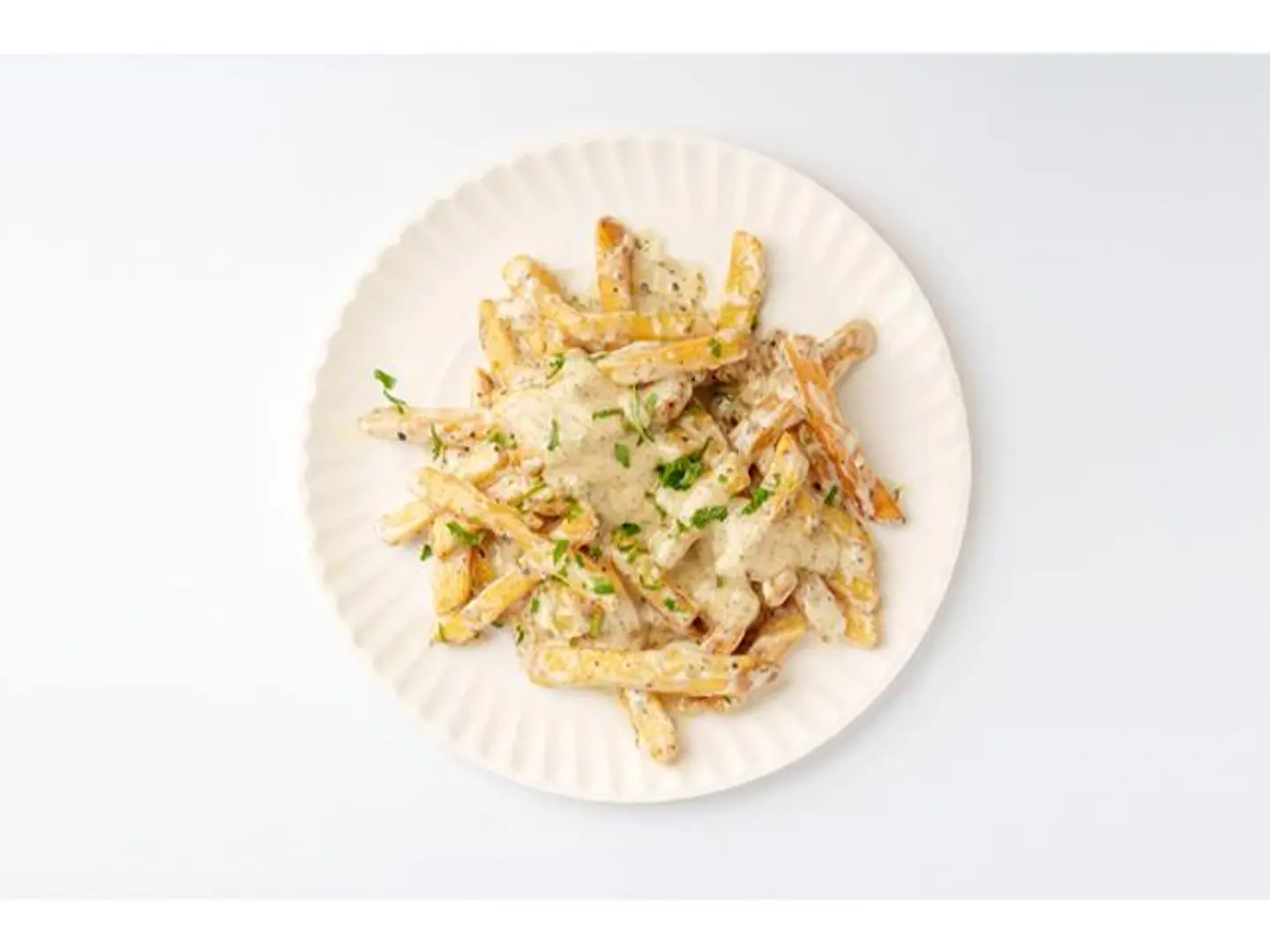 Signature Basidion Fries