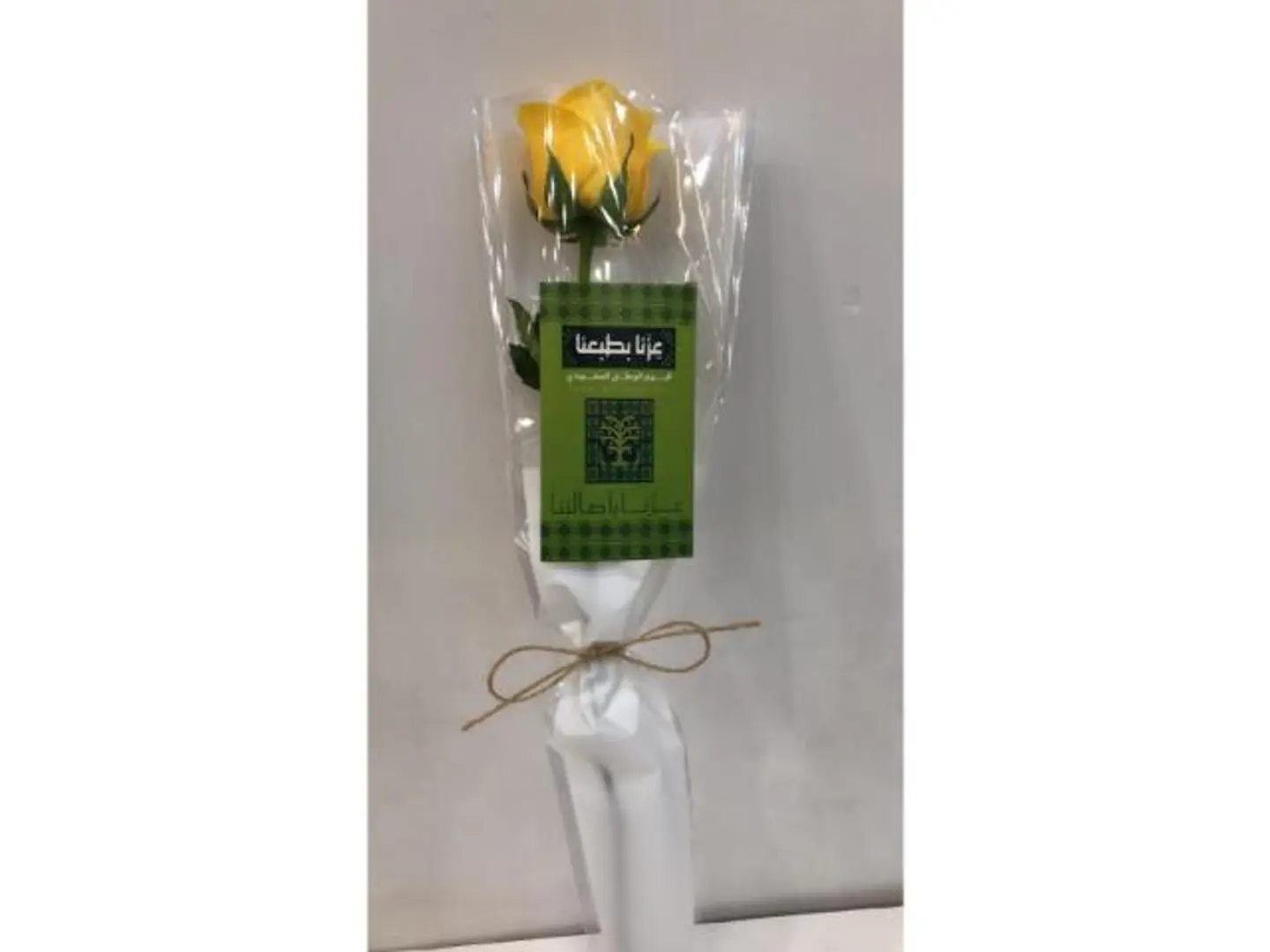 National Day Word Distributions 1