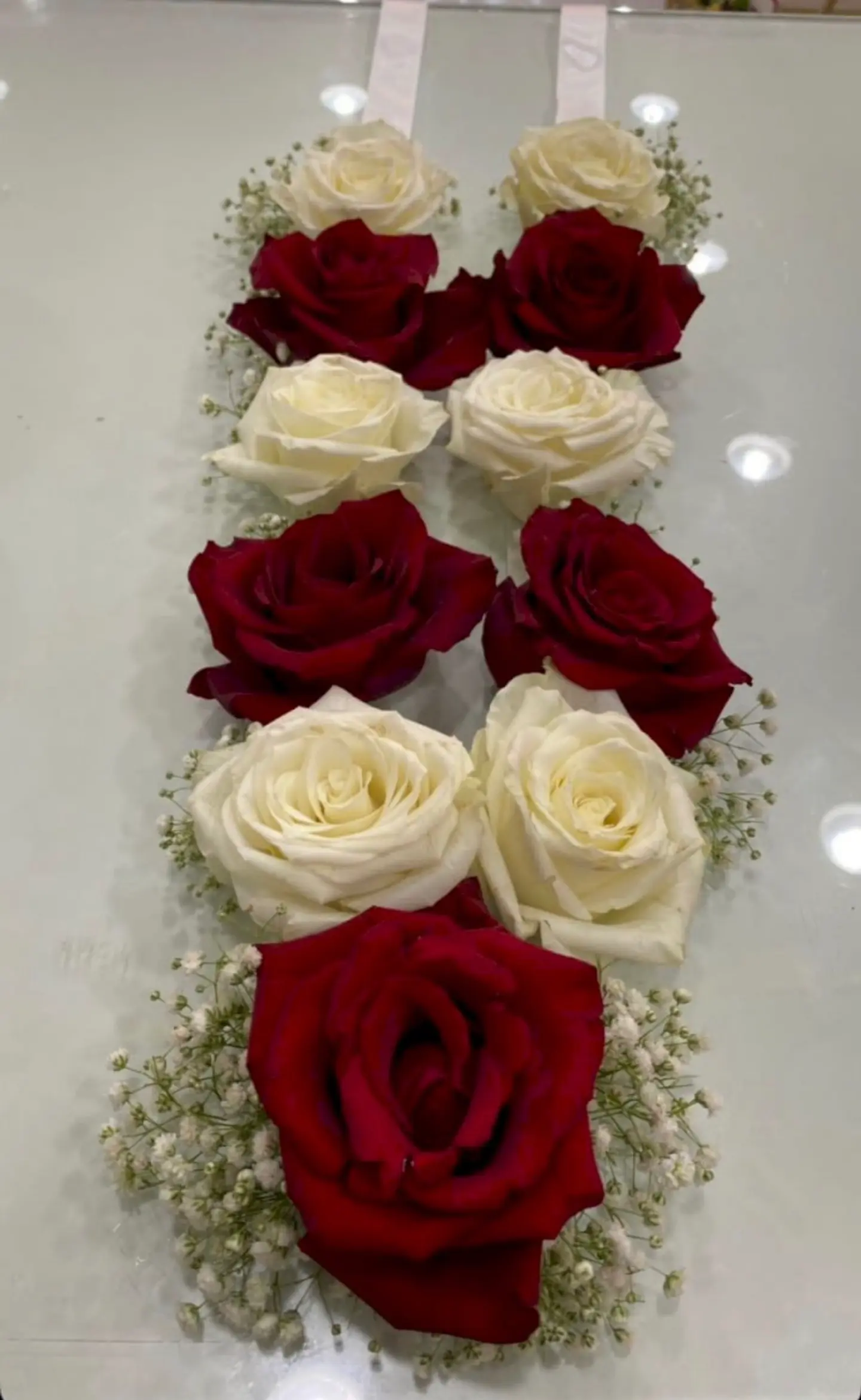 Graduation Contract 4