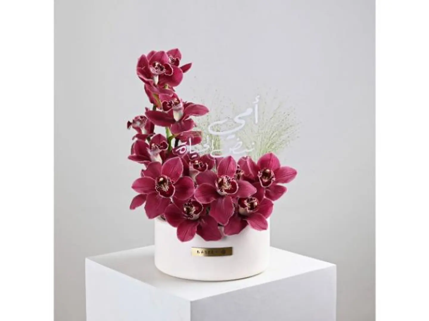 فازة الجمال البرغندي للأم