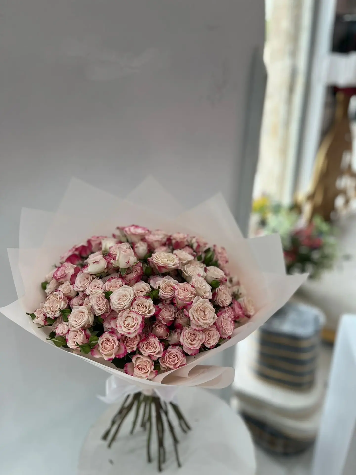 باقه بيبي جوري ١١