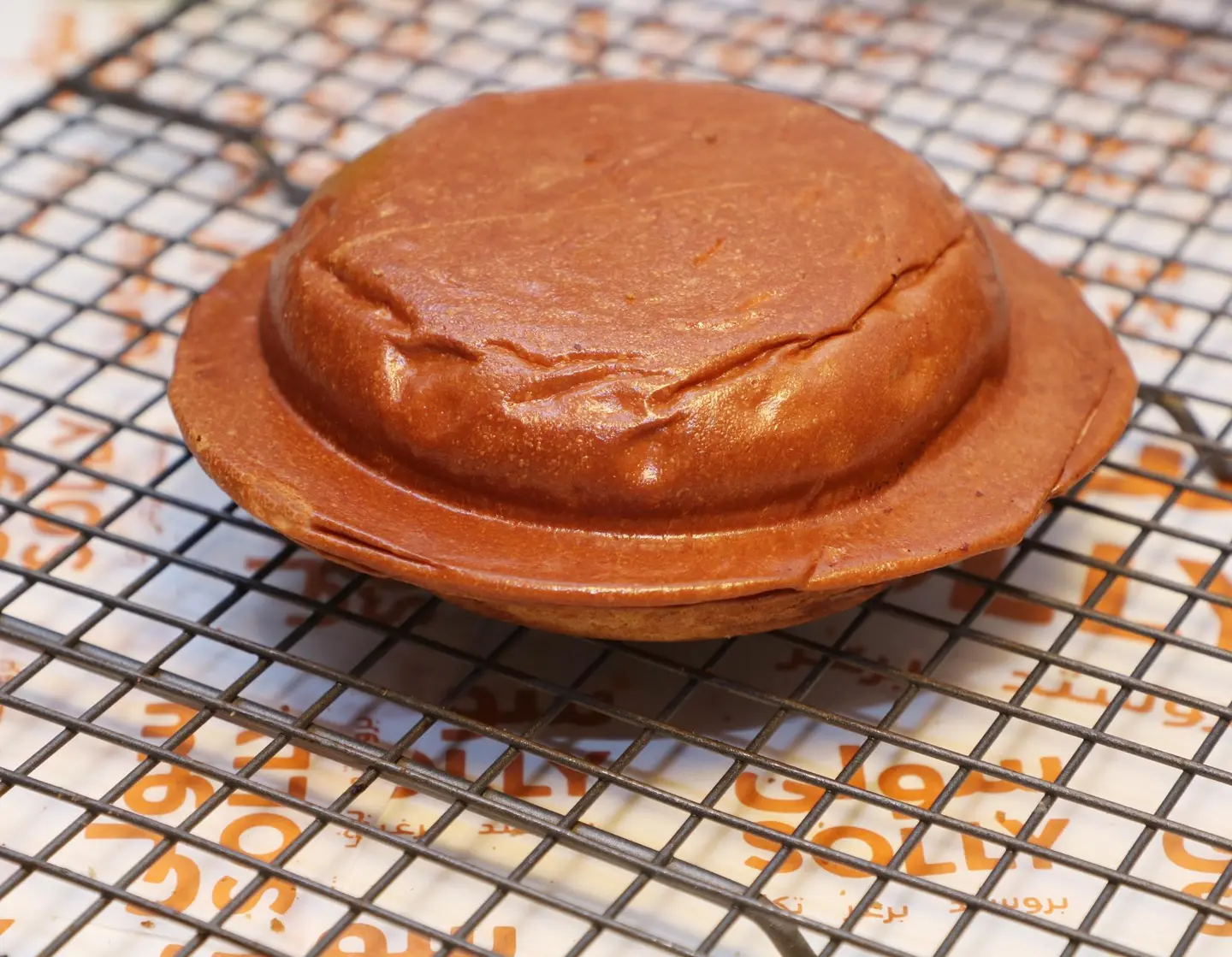 Ufo Burger Meat