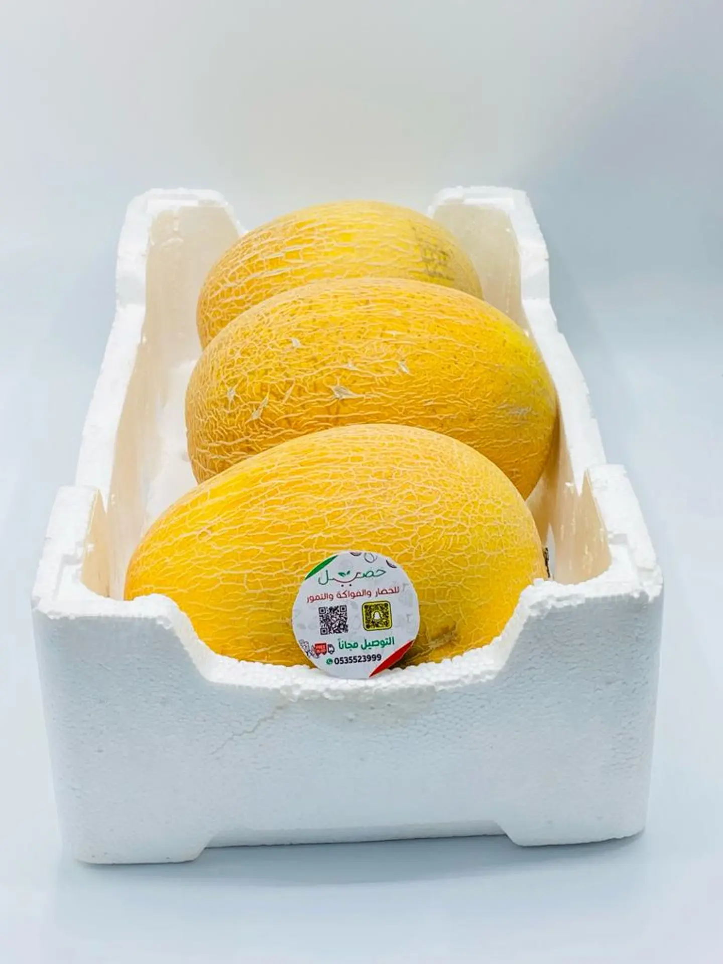Cantaloupe Fillieen
