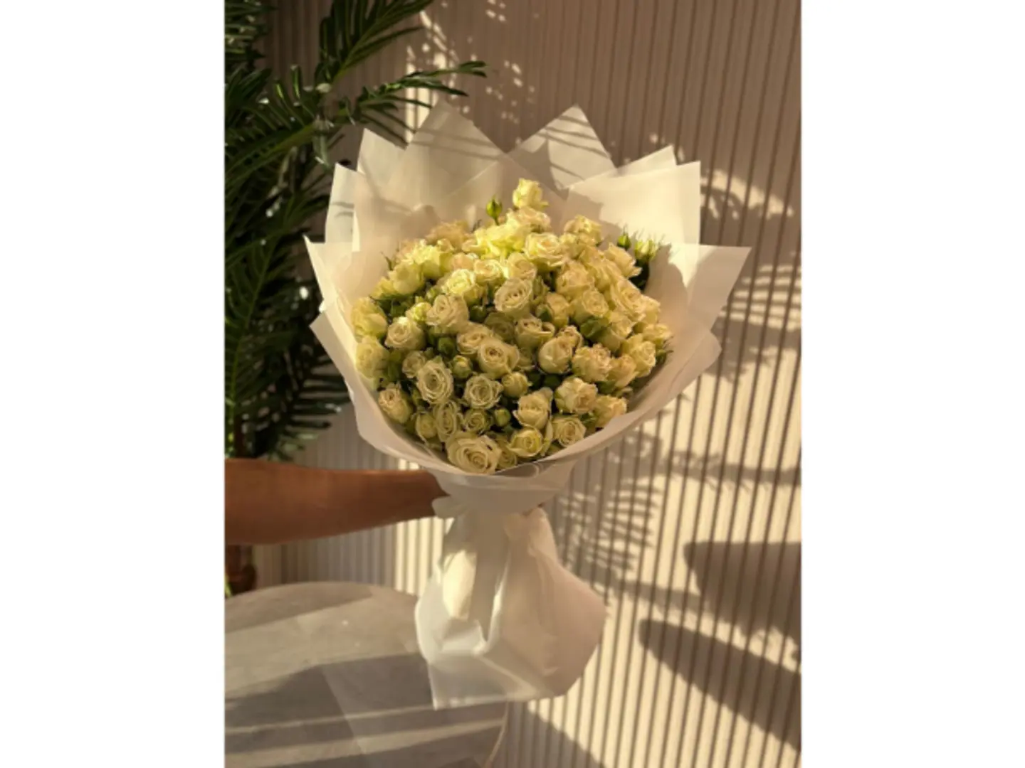 Baby Rose Bouquet, White