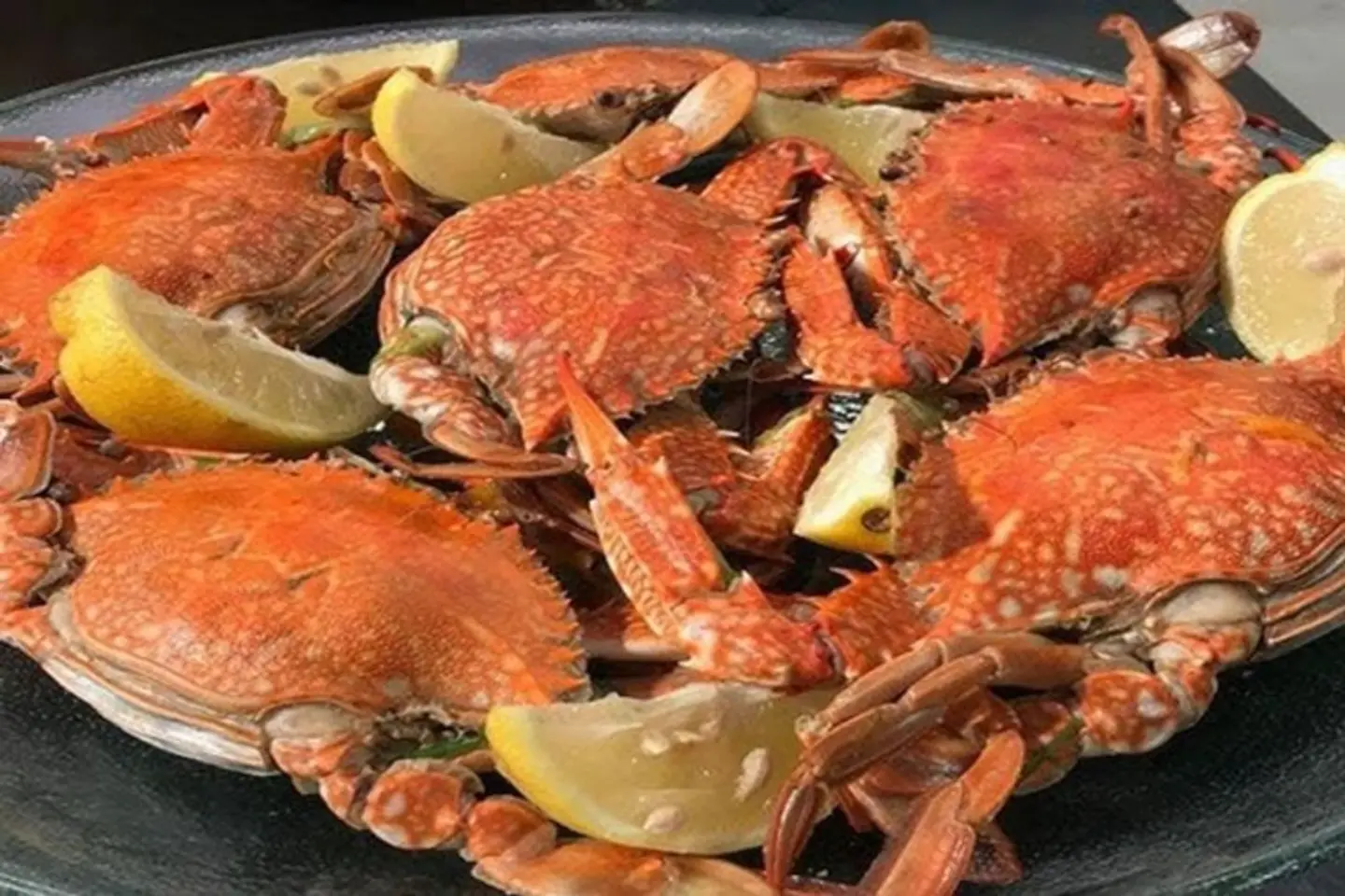 كابوريا مشوي