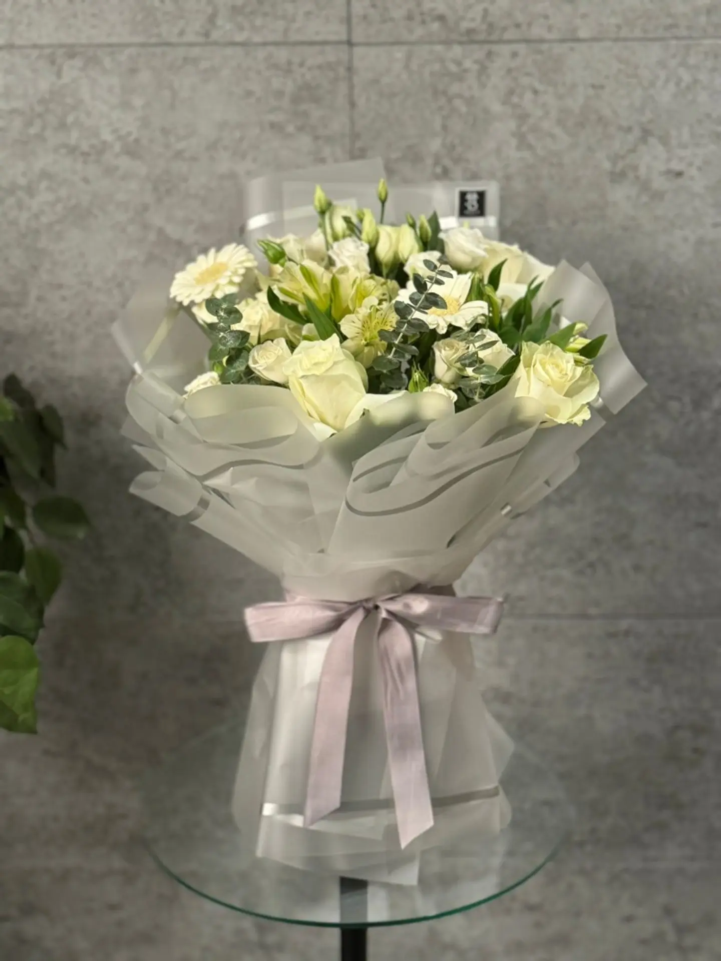 بيلا بوكيه 22