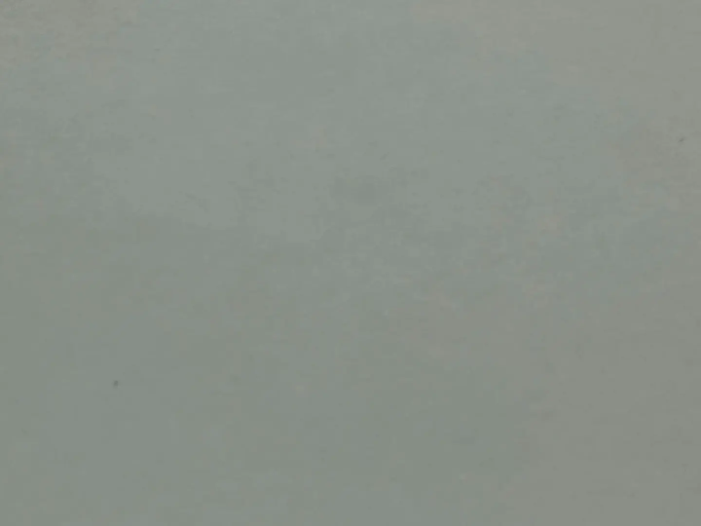 بوكس لحم بلحم