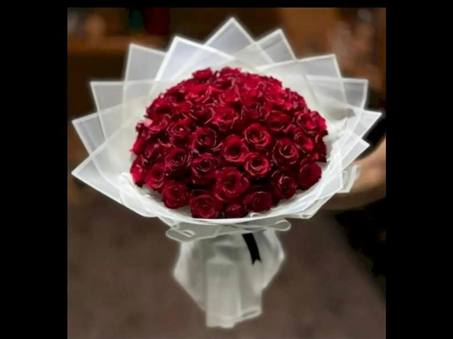 باقة 49 ايه ار .