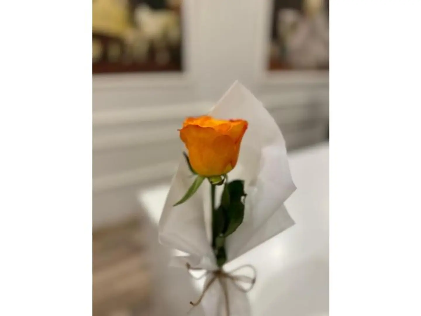 وردة جوري بالحبة برتقالي