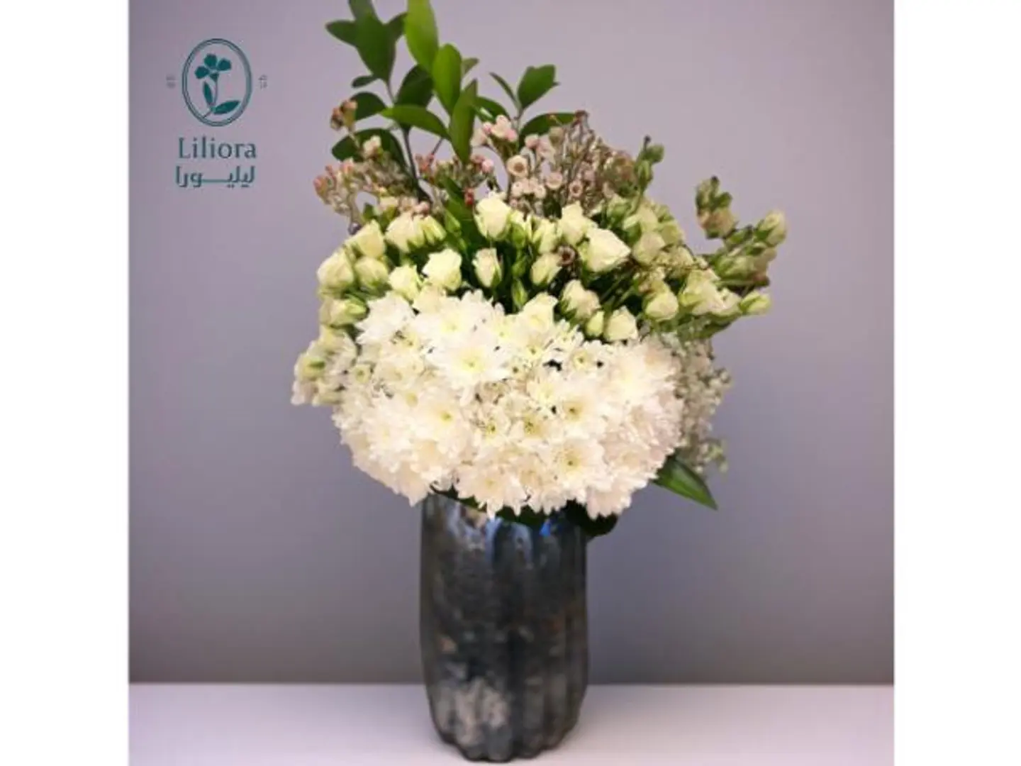 فازه ورد سنو بلوم