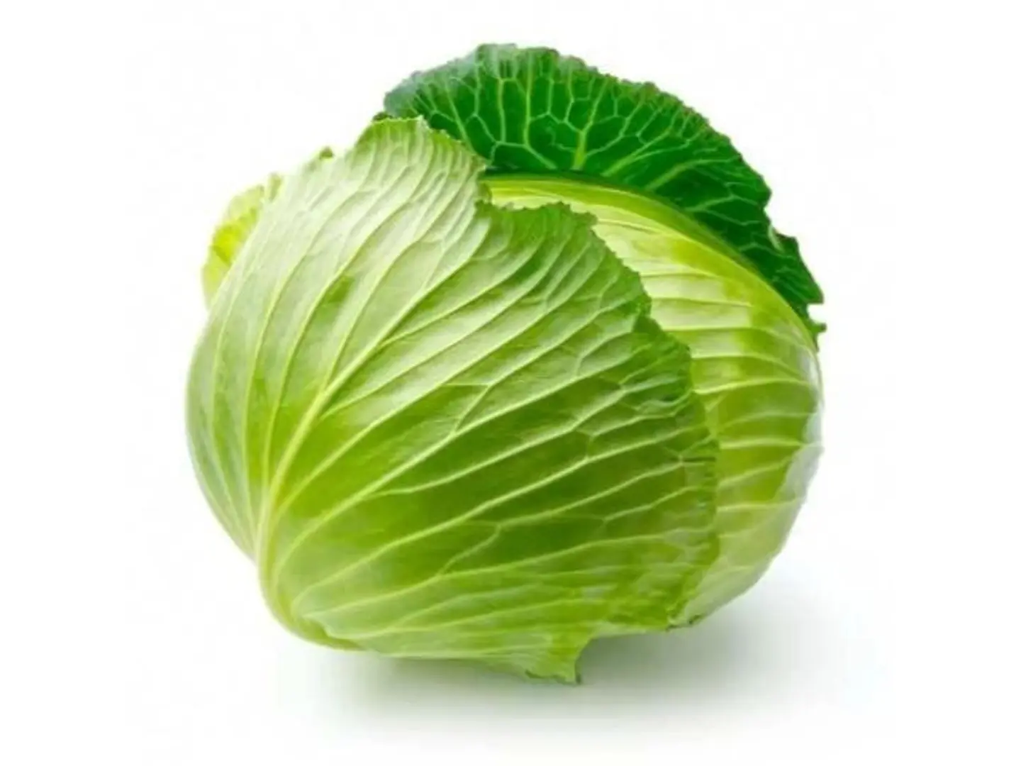 Green Cabbage