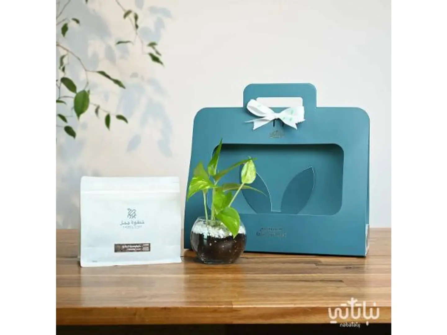 Pothos Colombia Coffee Gift