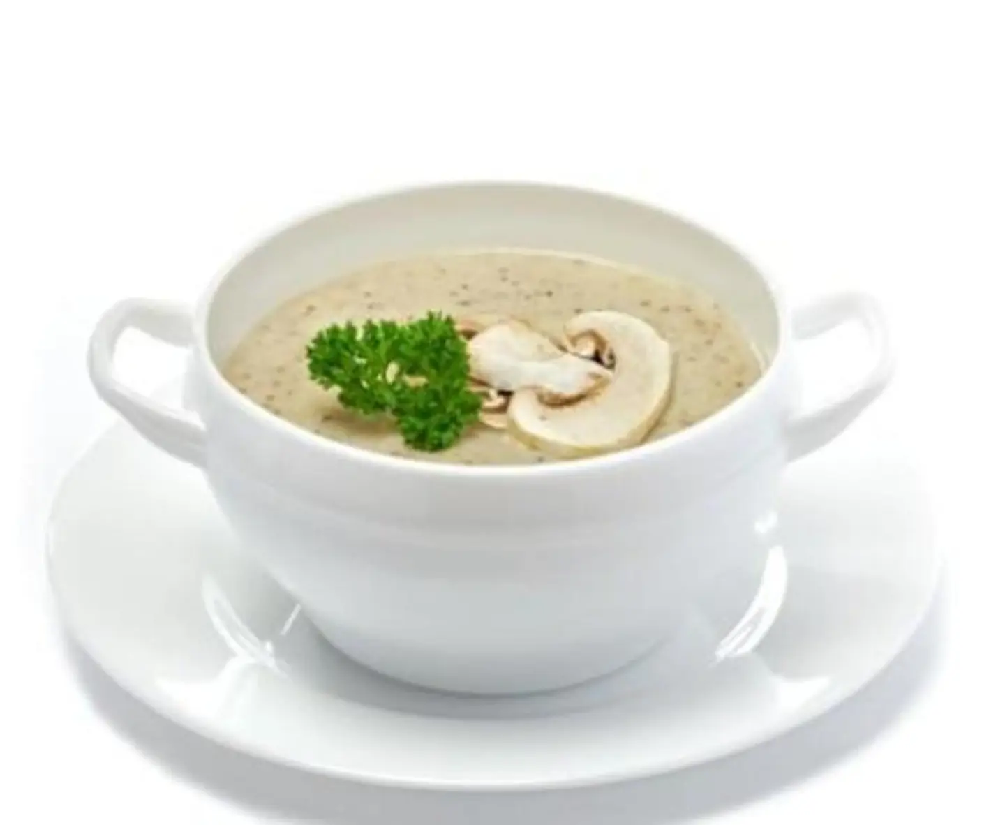 شوربة مشروم بالكريمة