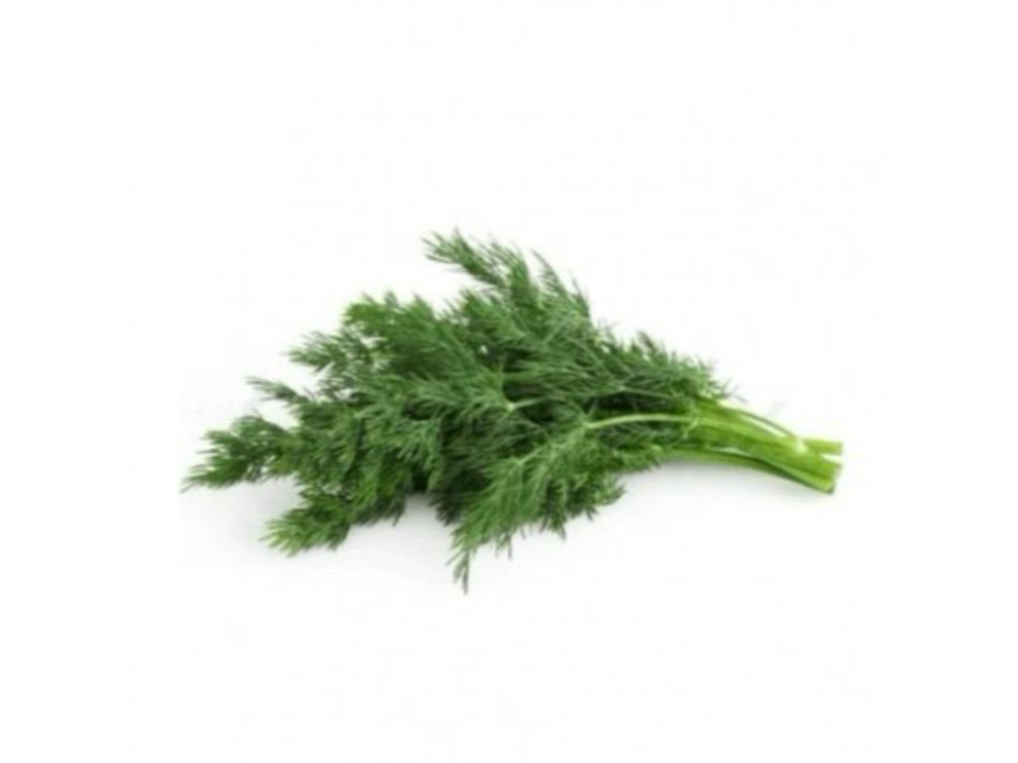 Dill